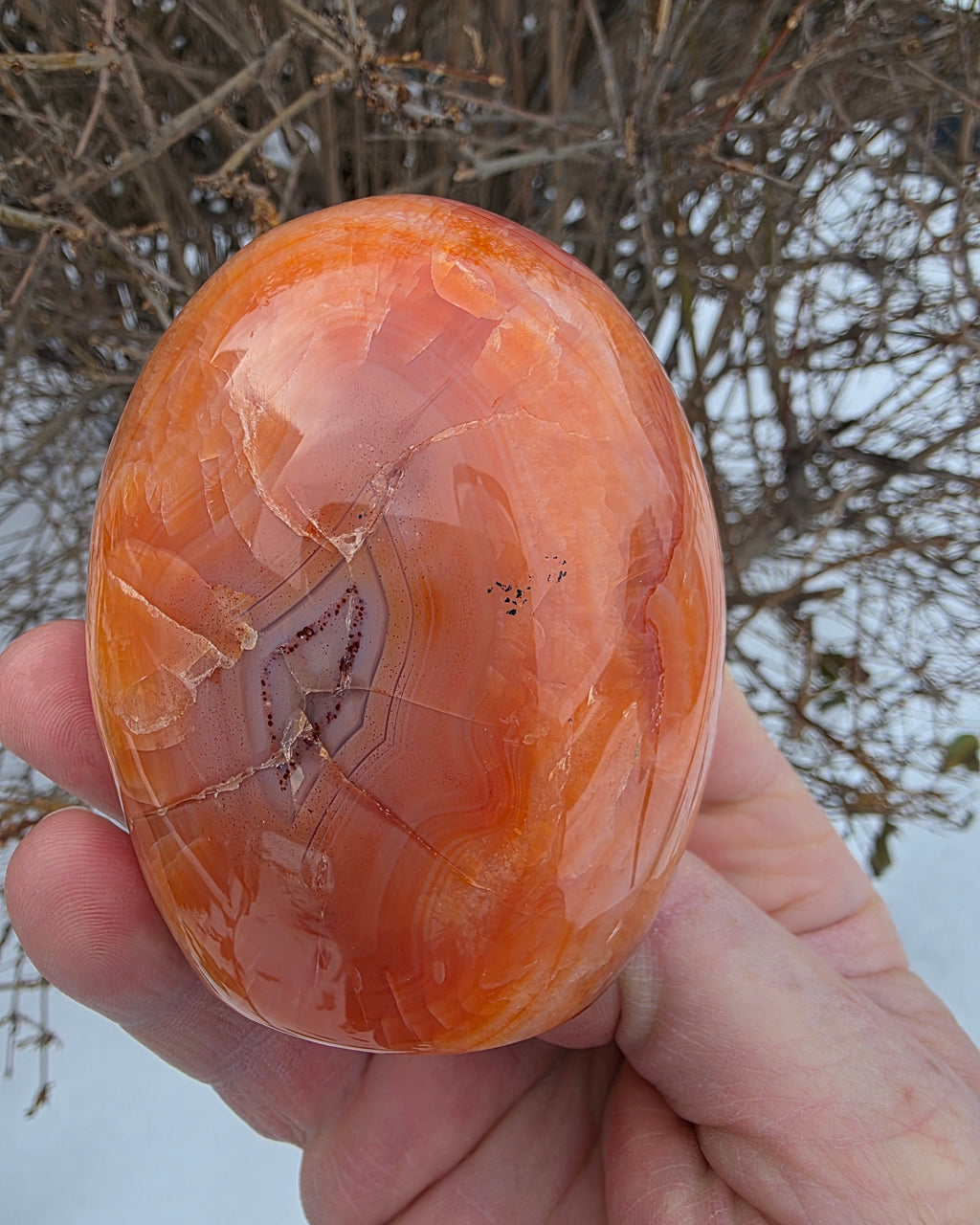Carnelian Free Form