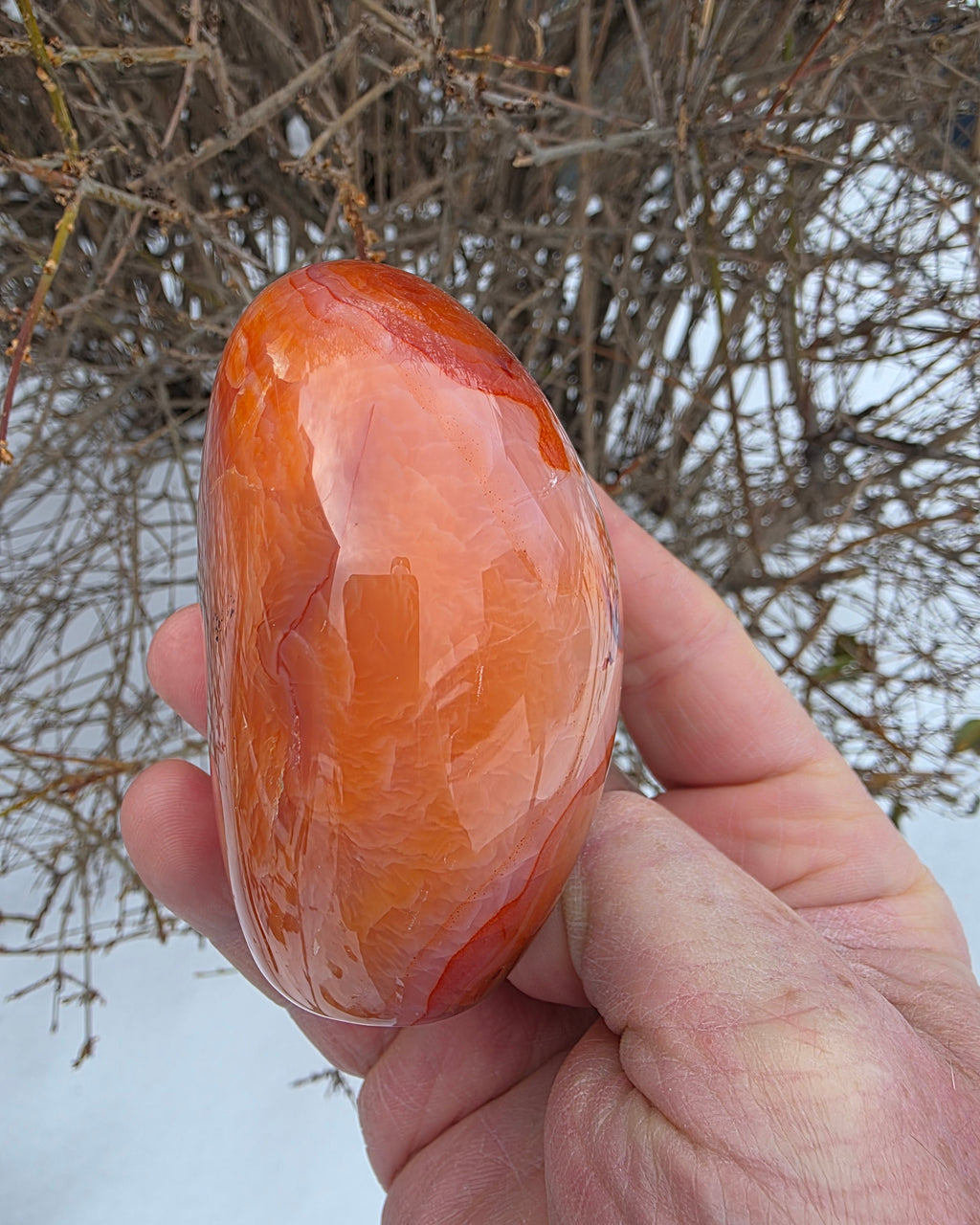 Carnelian Free Form