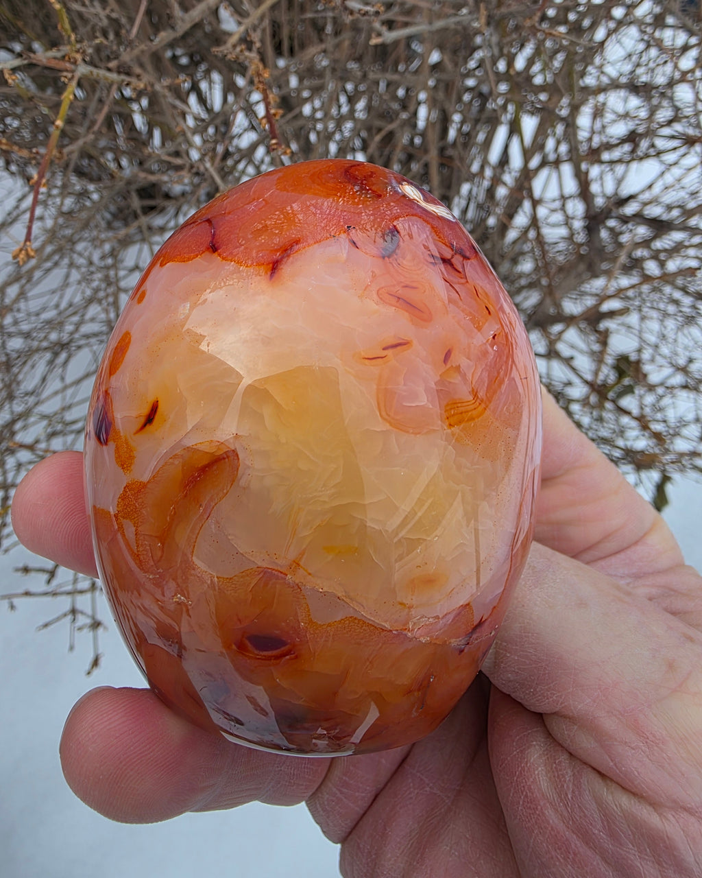 Carnelian Free Form