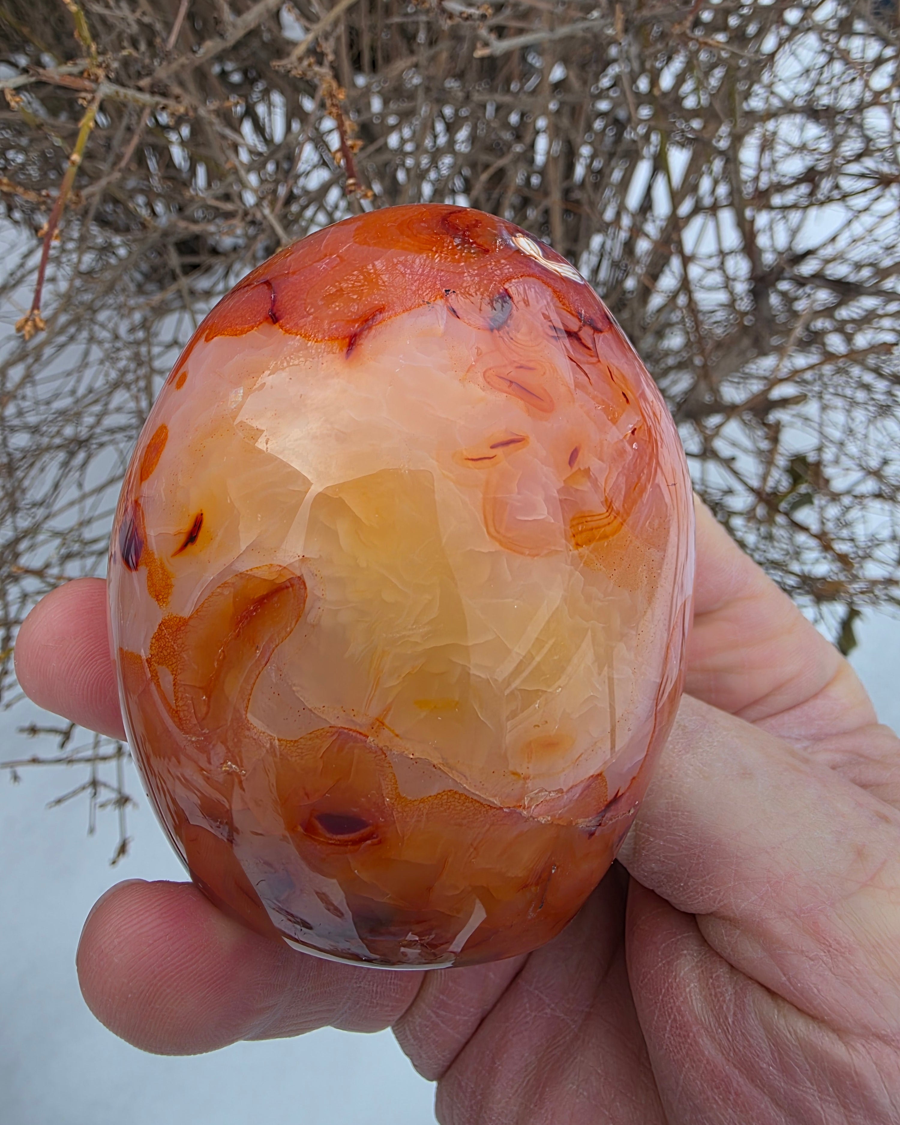 Carnelian Free Form