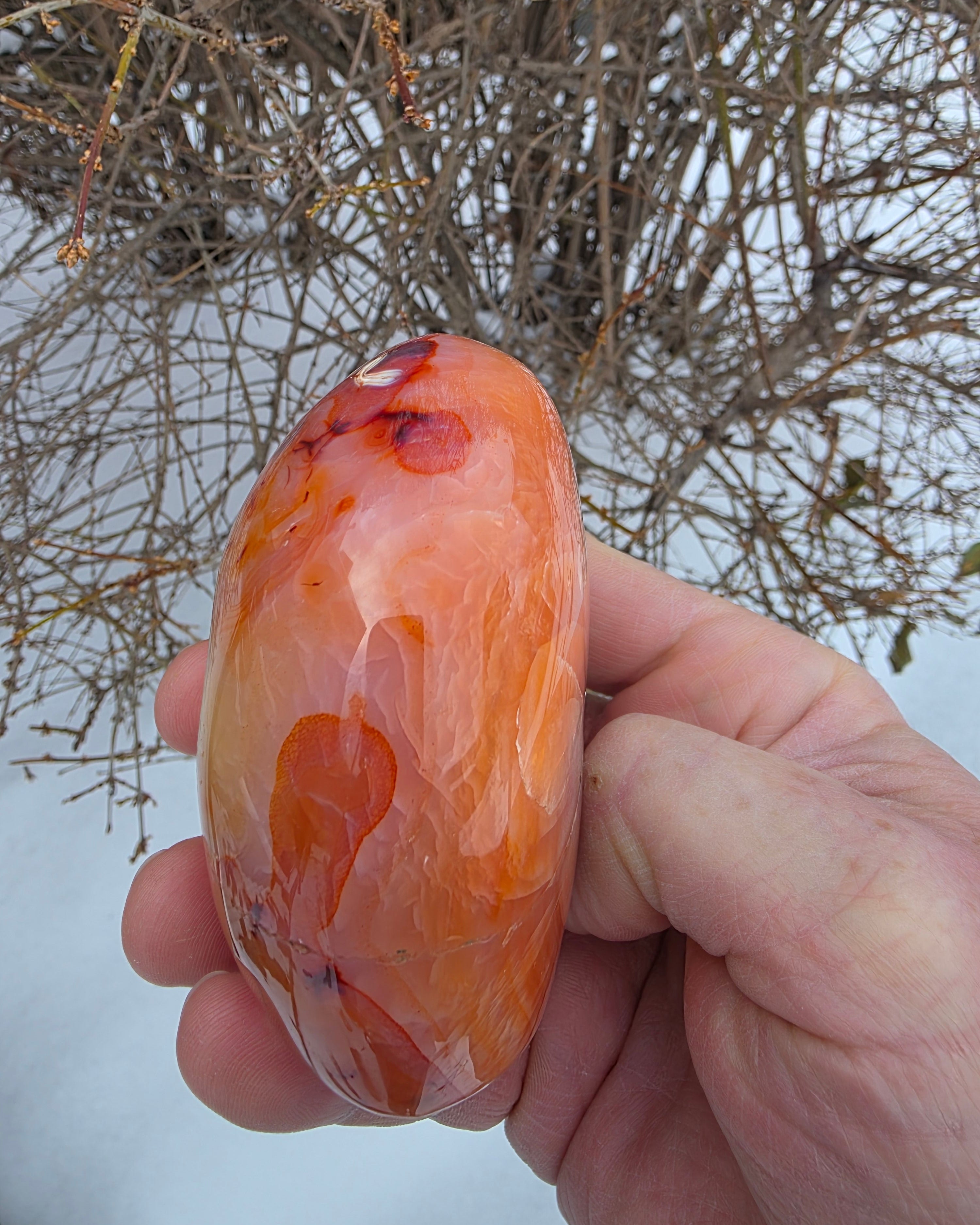 Carnelian Free Form