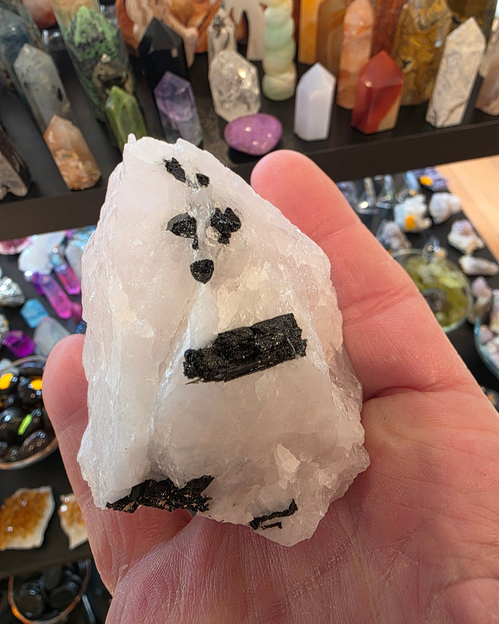 Black Tourmaline in Rose Quartz