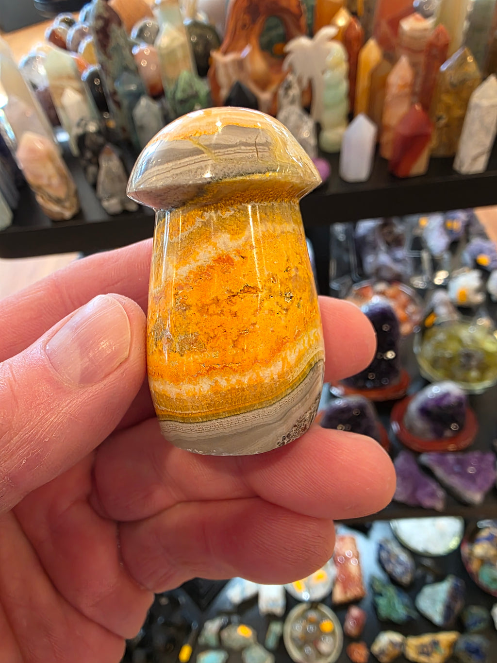 Bumblebee Jasper Mushroom
