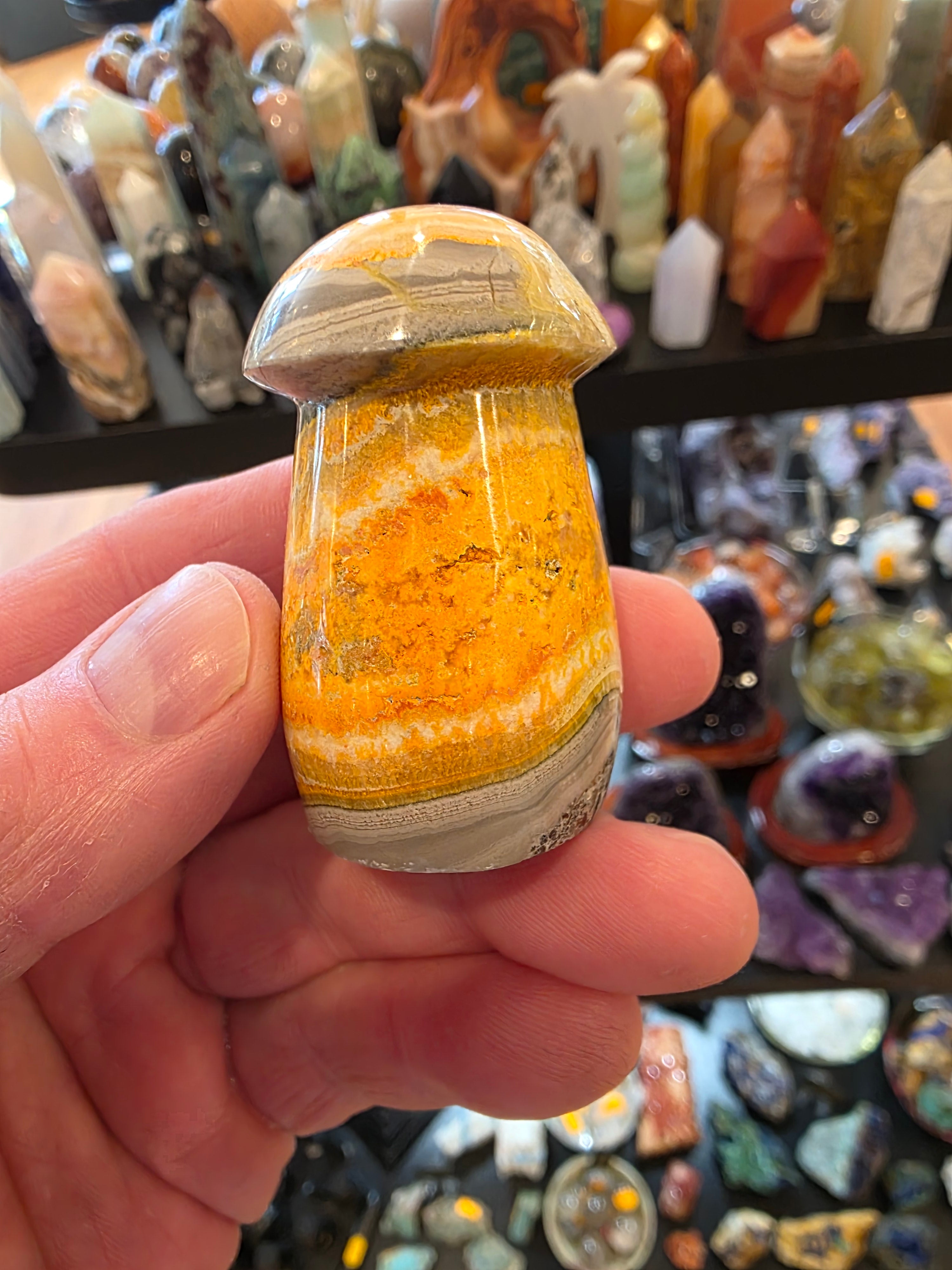 Bumblebee Jasper Mushroom