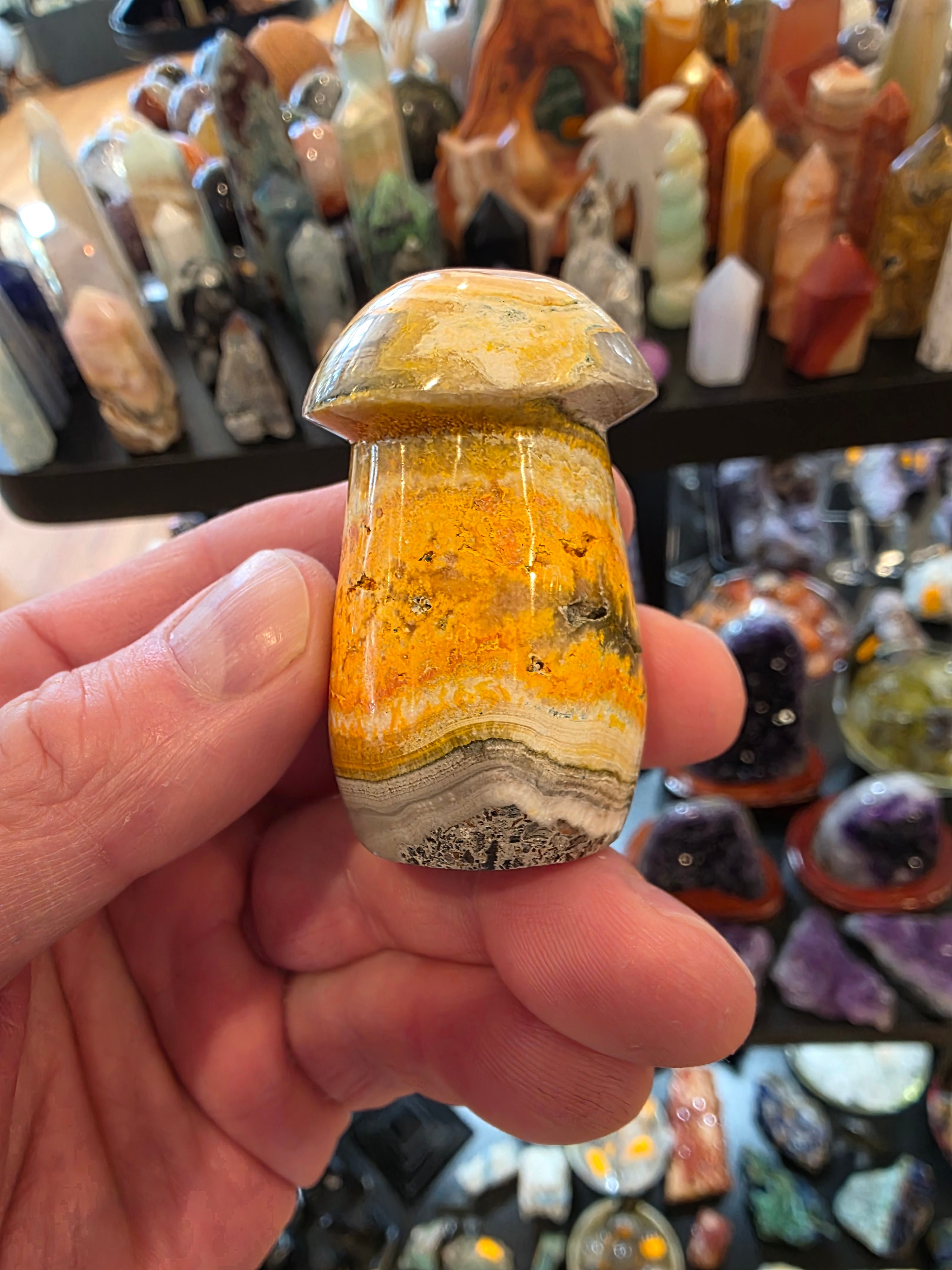 Bumblebee Jasper Mushroom
