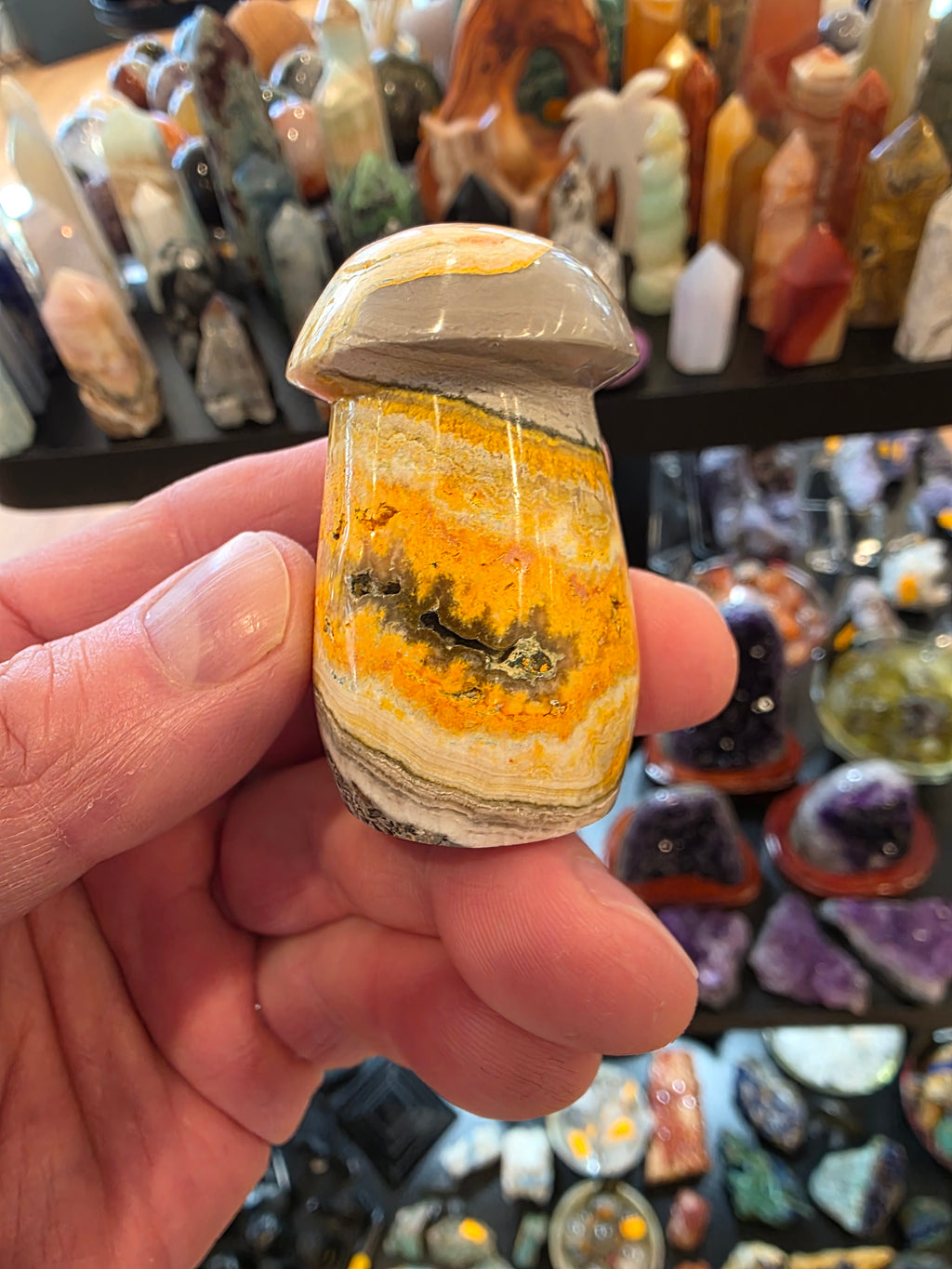 Bumblebee Jasper Mushroom