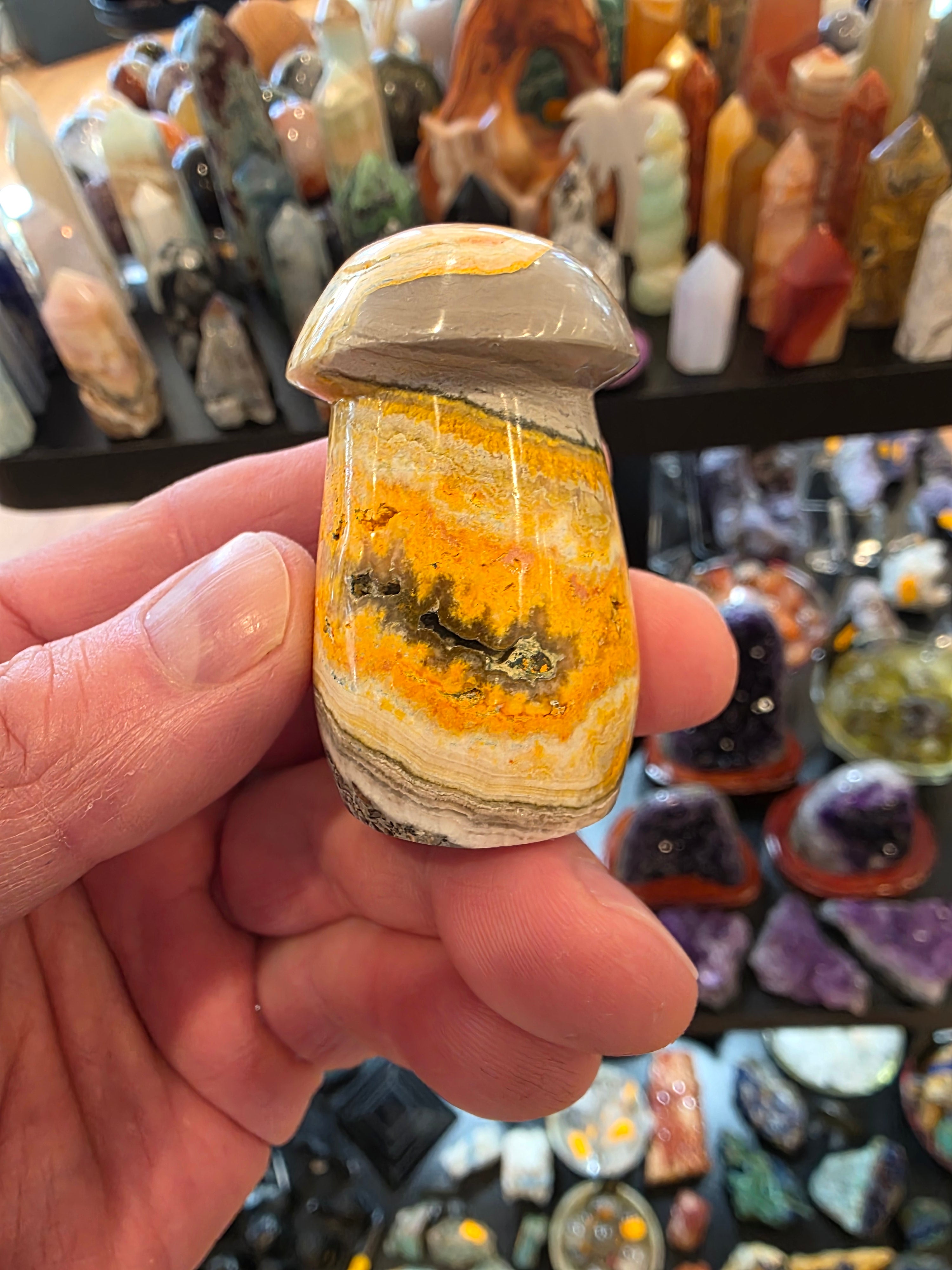 Bumblebee Jasper Mushroom