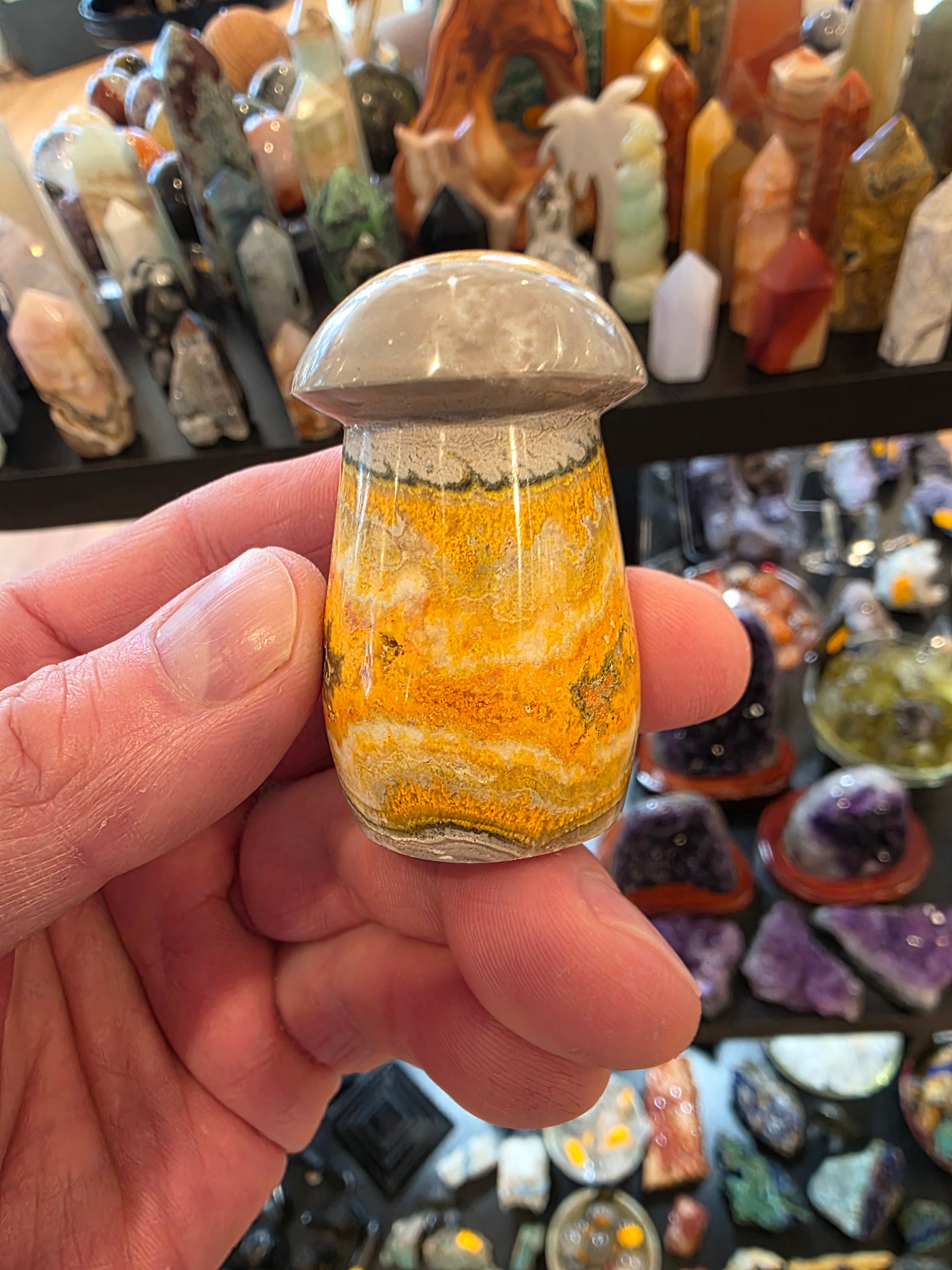 Bumblebee Jasper Mushroom
