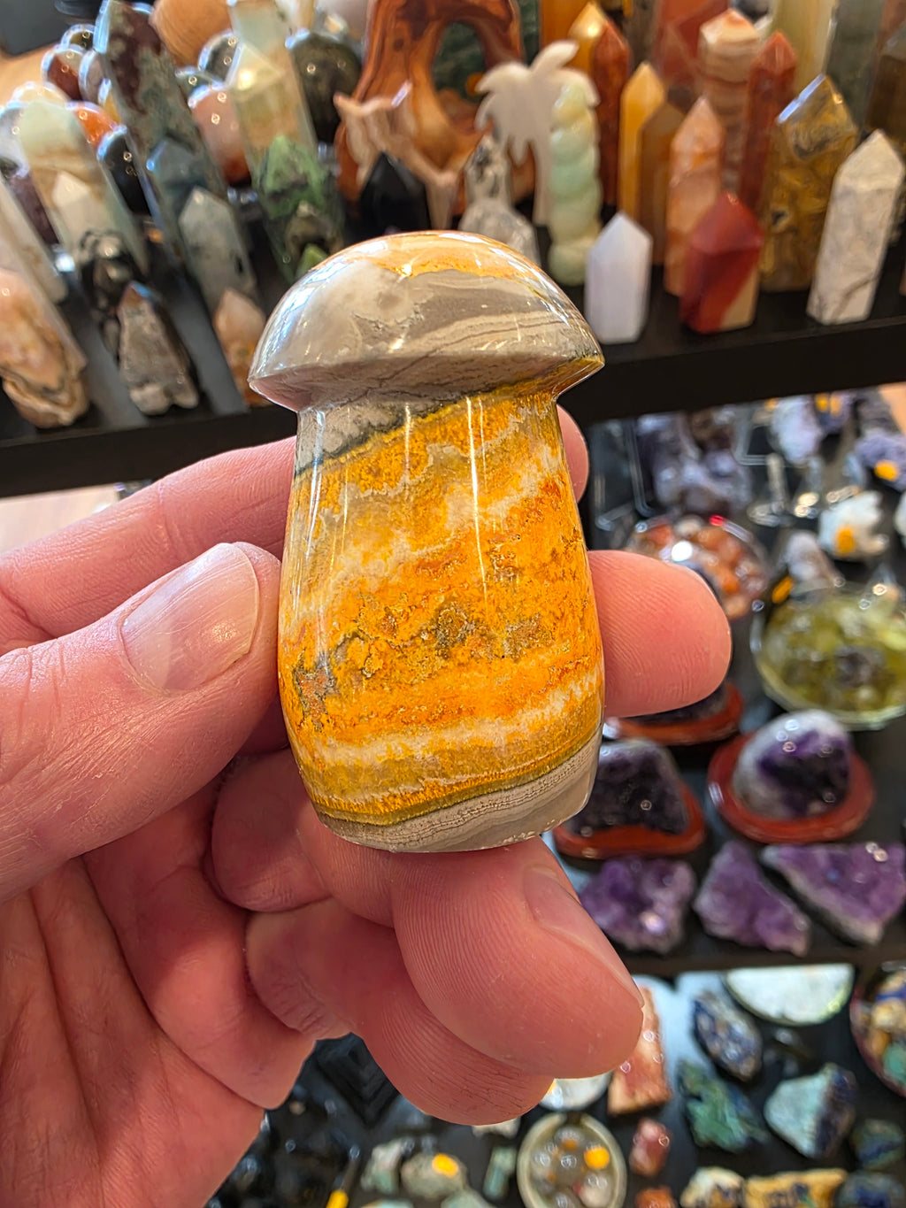 Bumblebee Jasper Mushroom