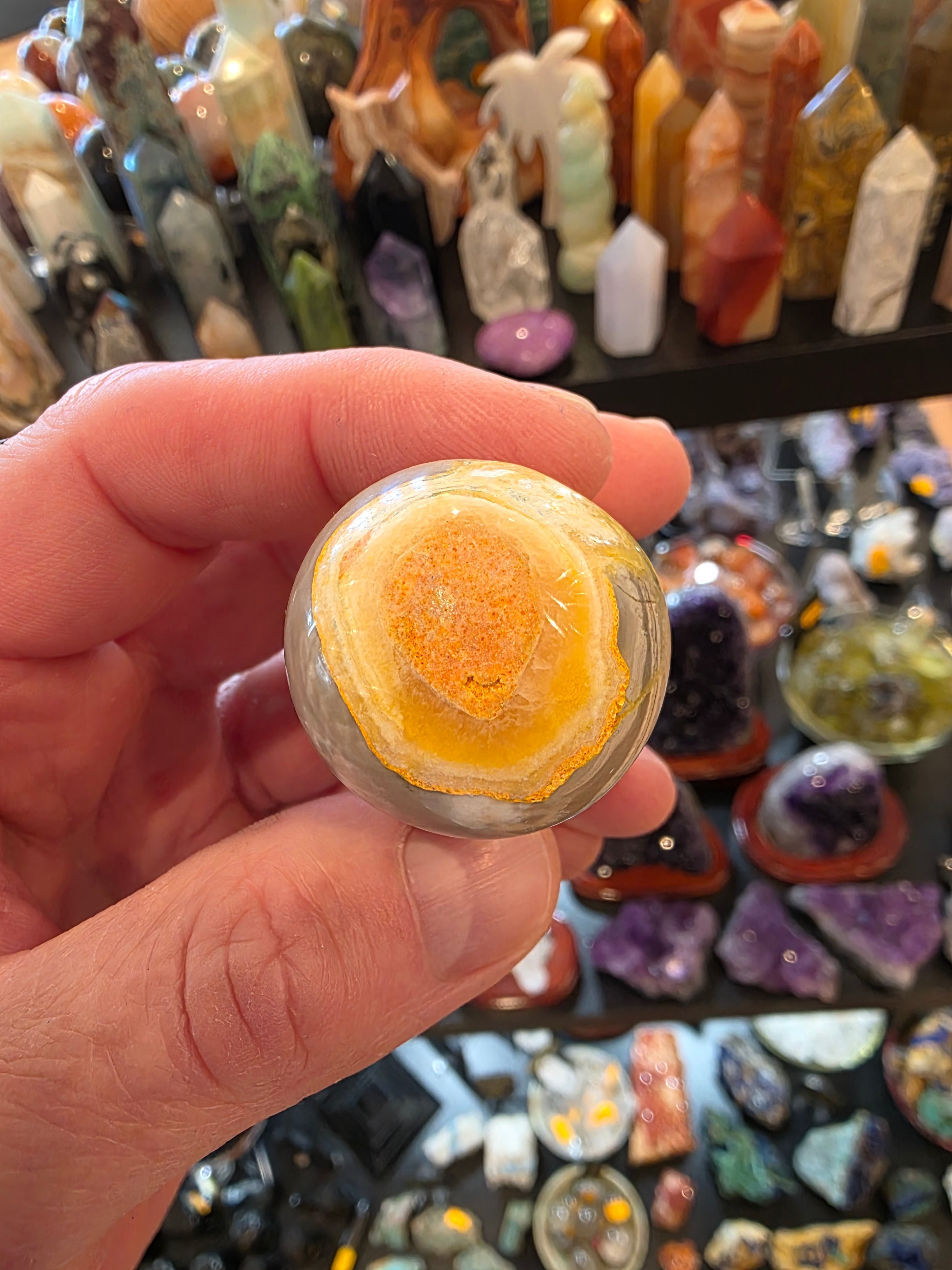 Bumblebee Jasper Mushroom