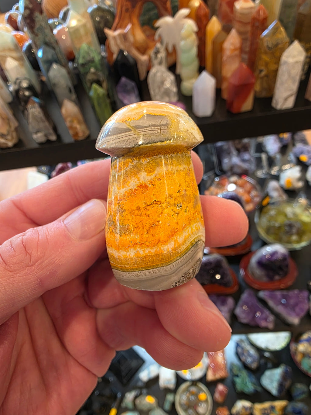 Bumblebee Jasper Mushroom