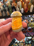 Bumblebee Jasper Mushroom