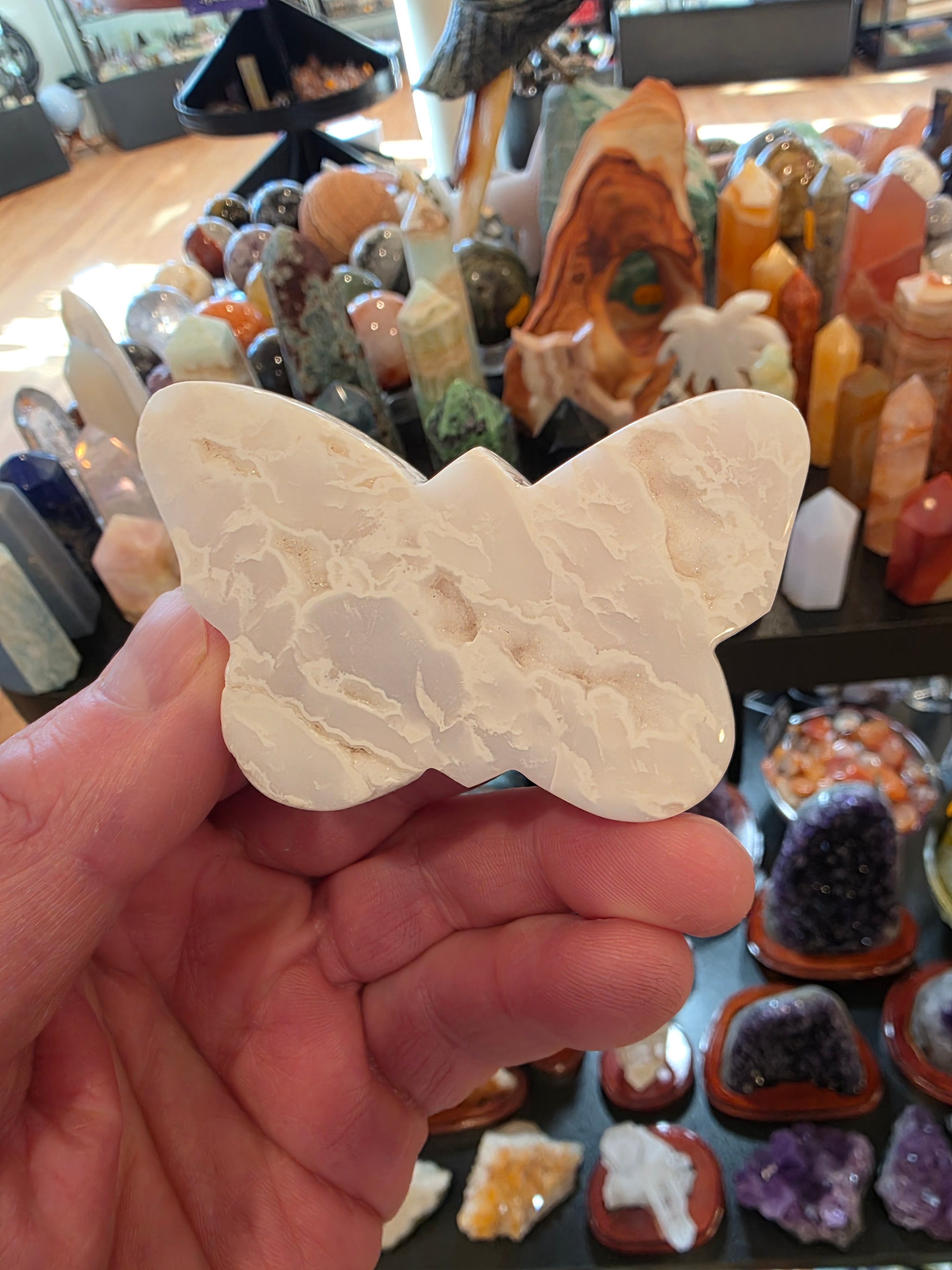 Plume Agate Butterfly with Druzy Sparkle