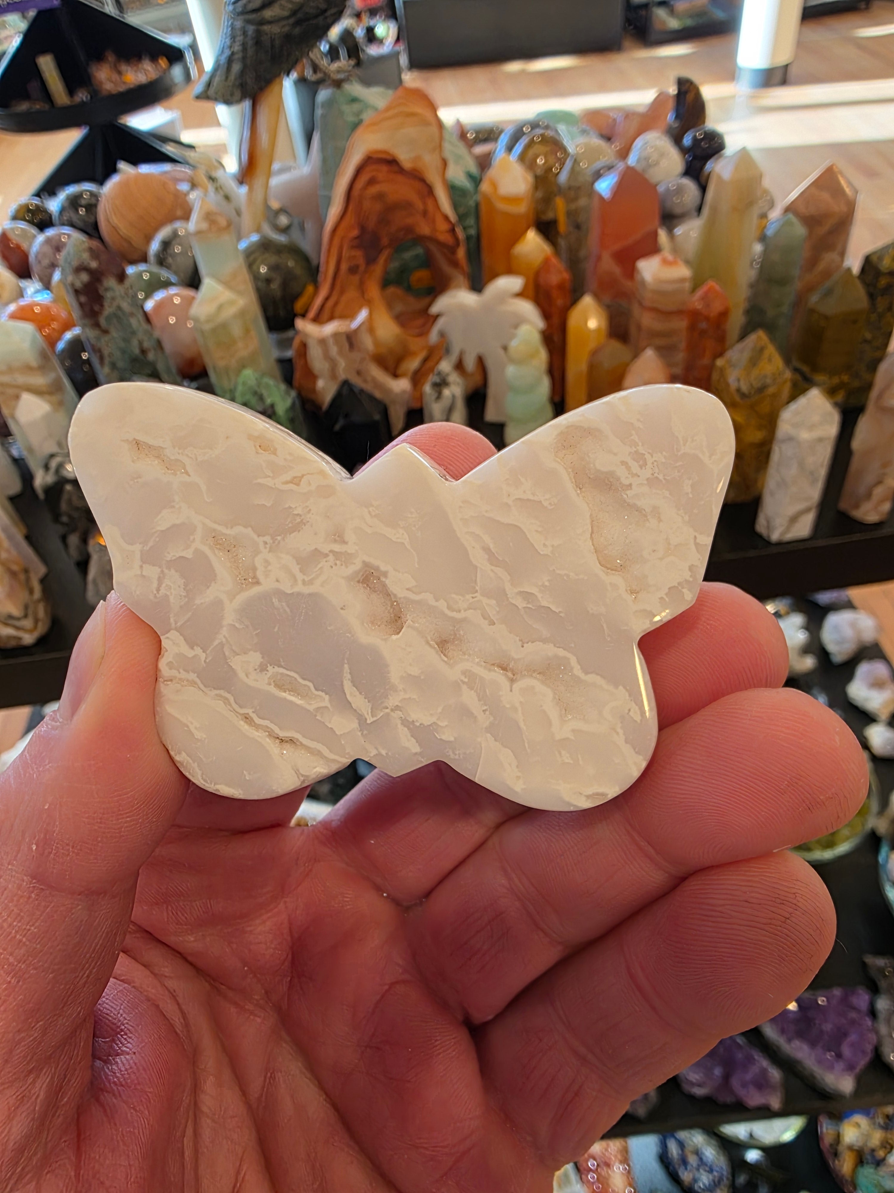 Plume Agate Butterfly with Druzy Sparkle