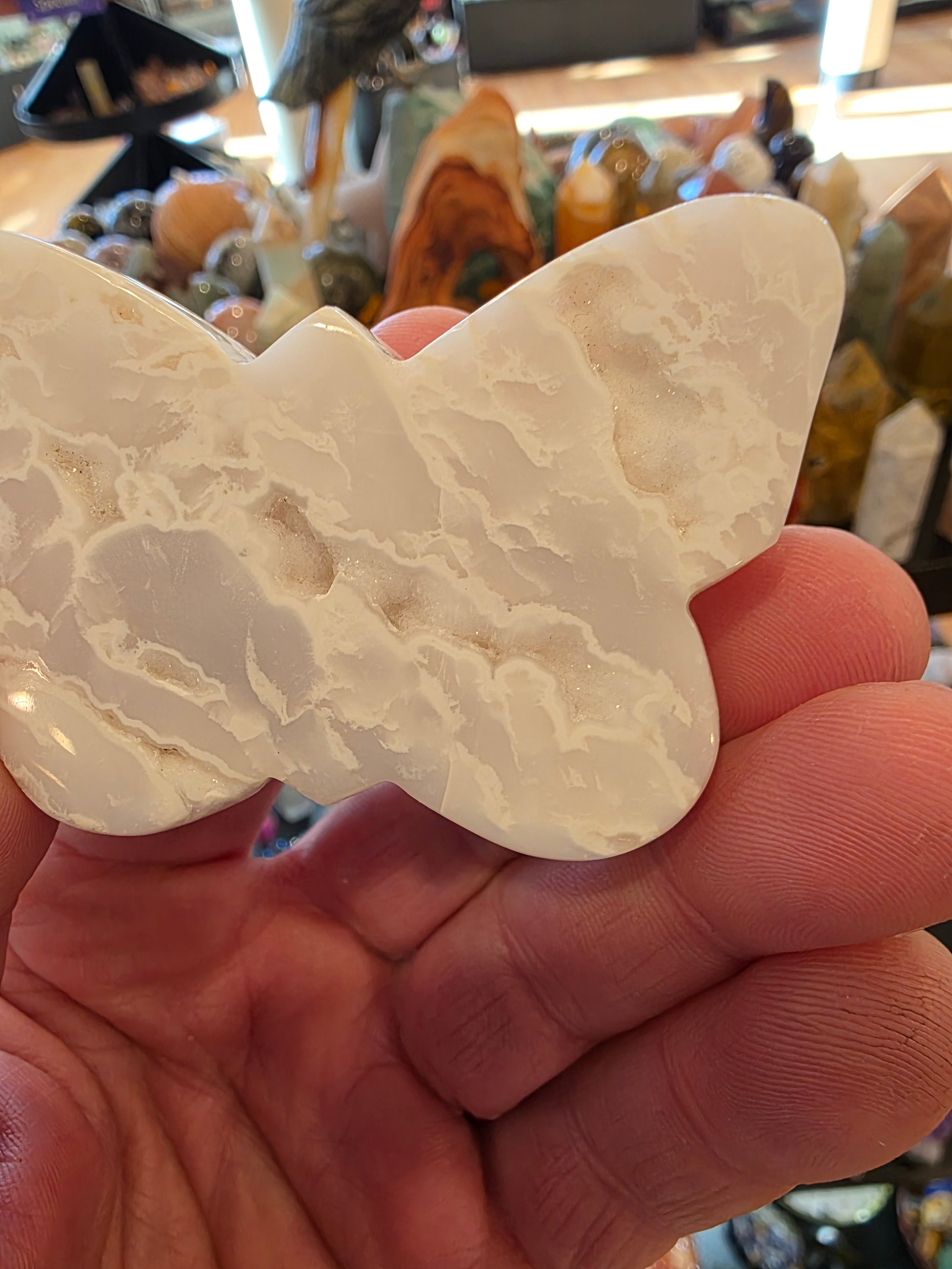 Plume Agate Butterfly with Druzy Sparkle