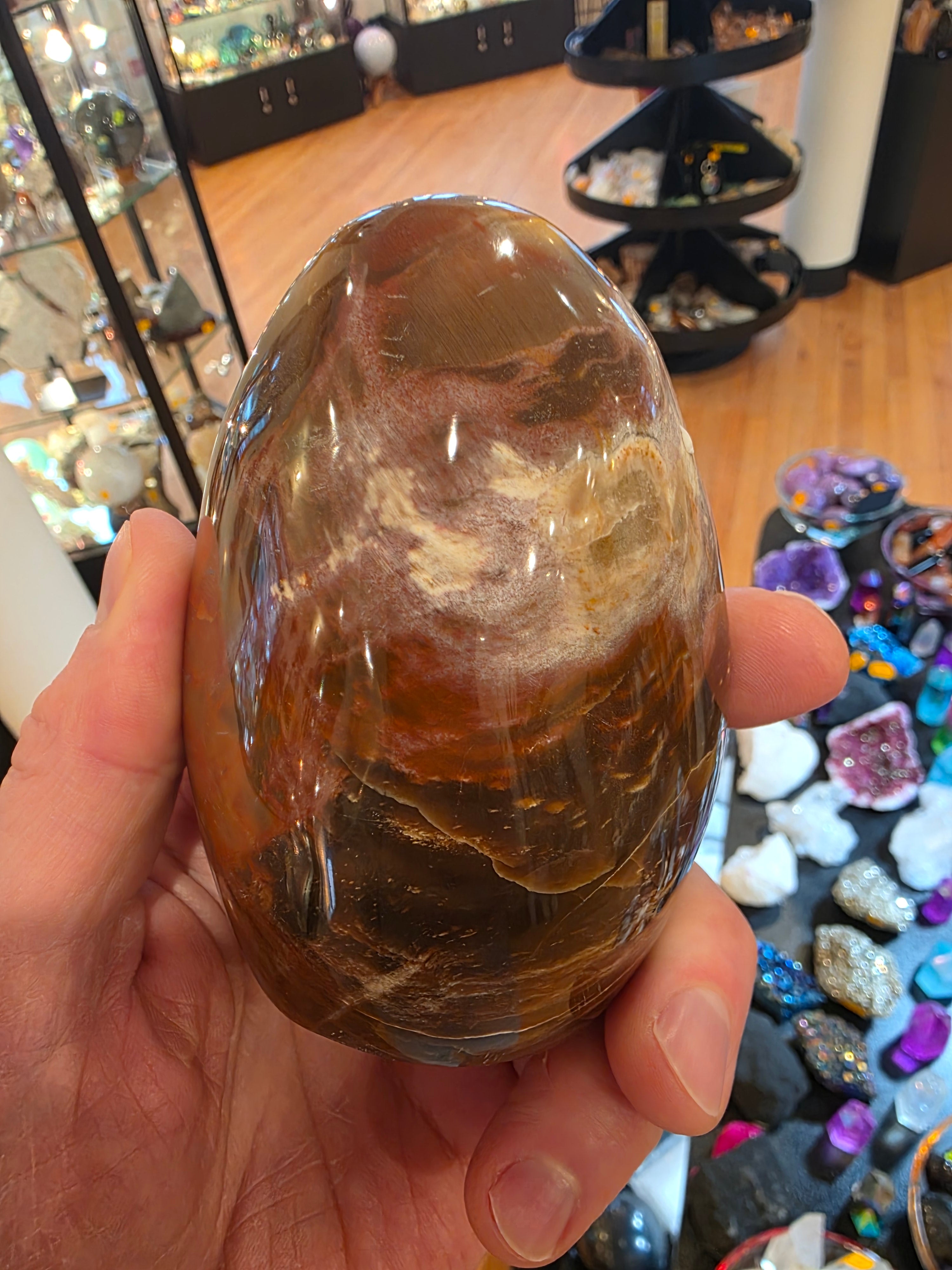 Petrified Wood Free Form