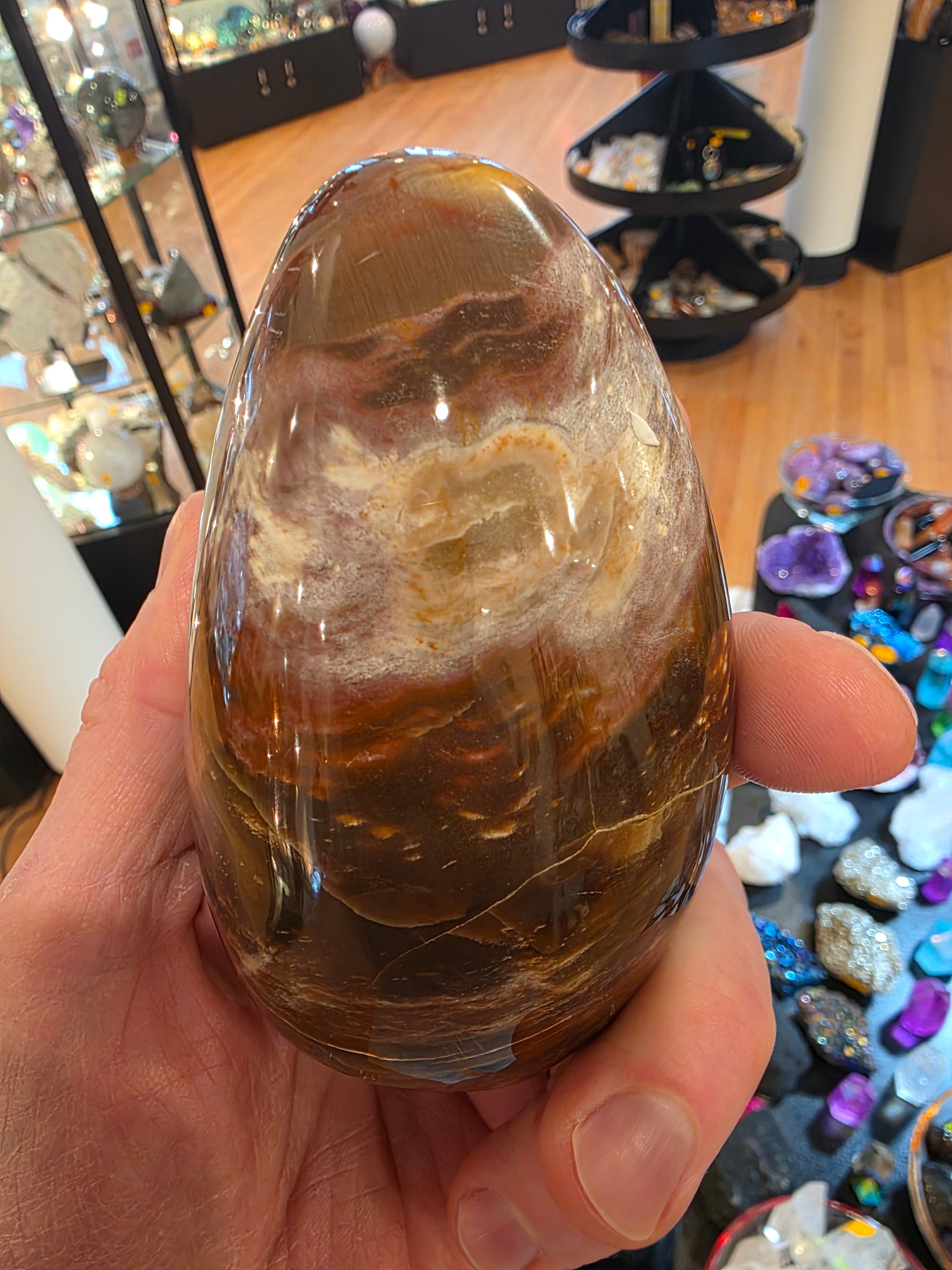 Petrified Wood Free Form