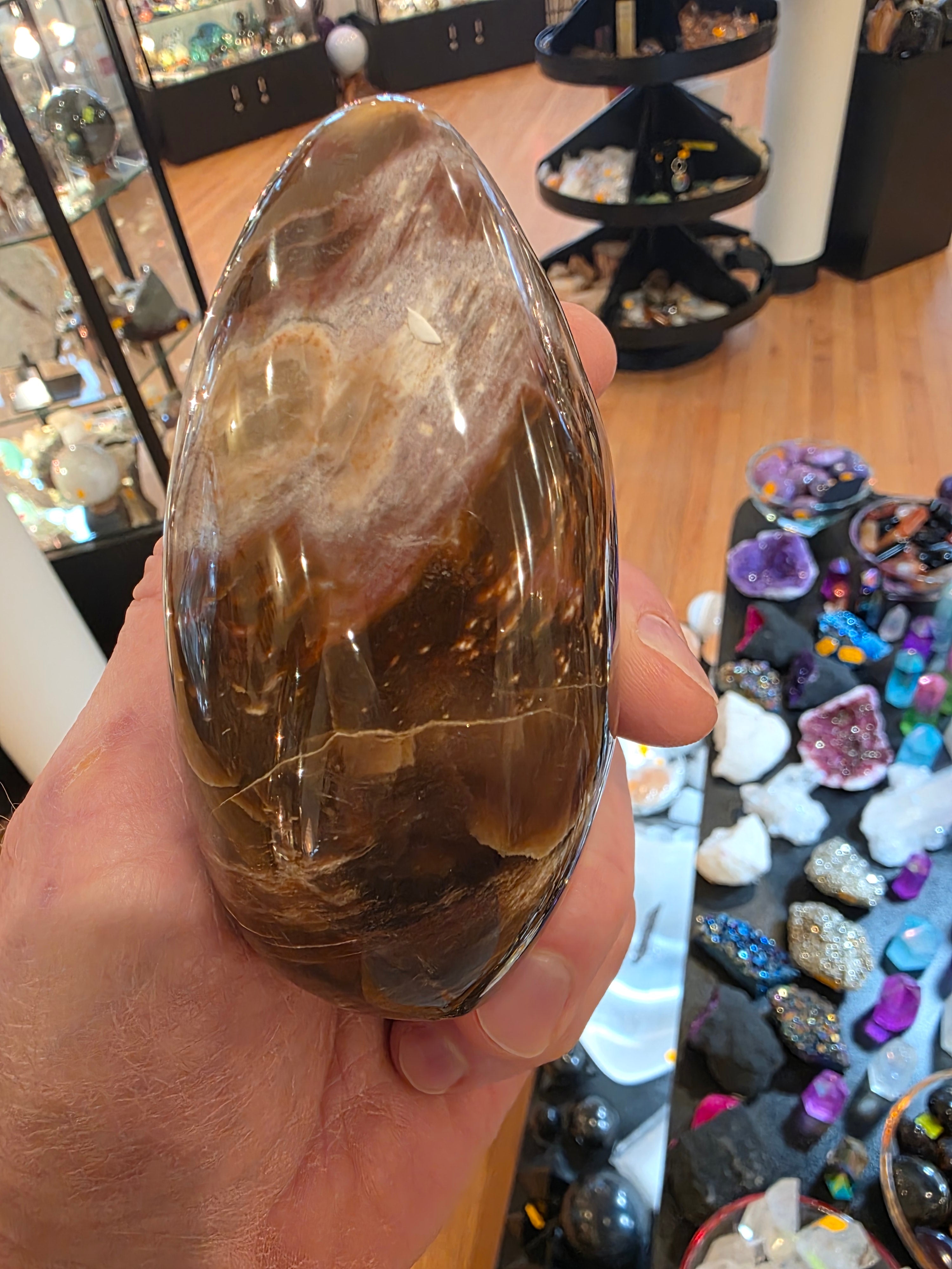 Petrified Wood Free Form
