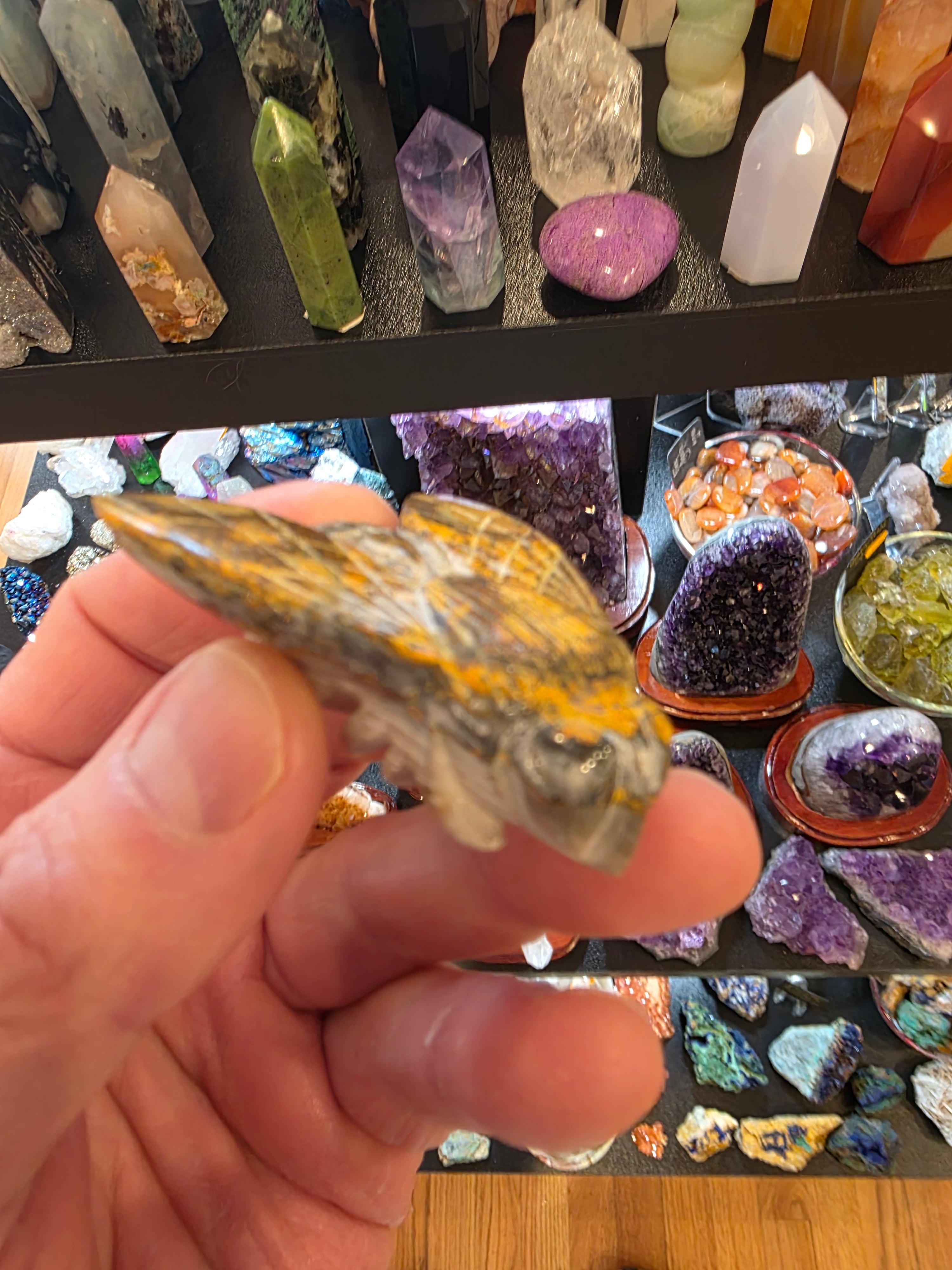 Bumblebee Jasper Bumblebee