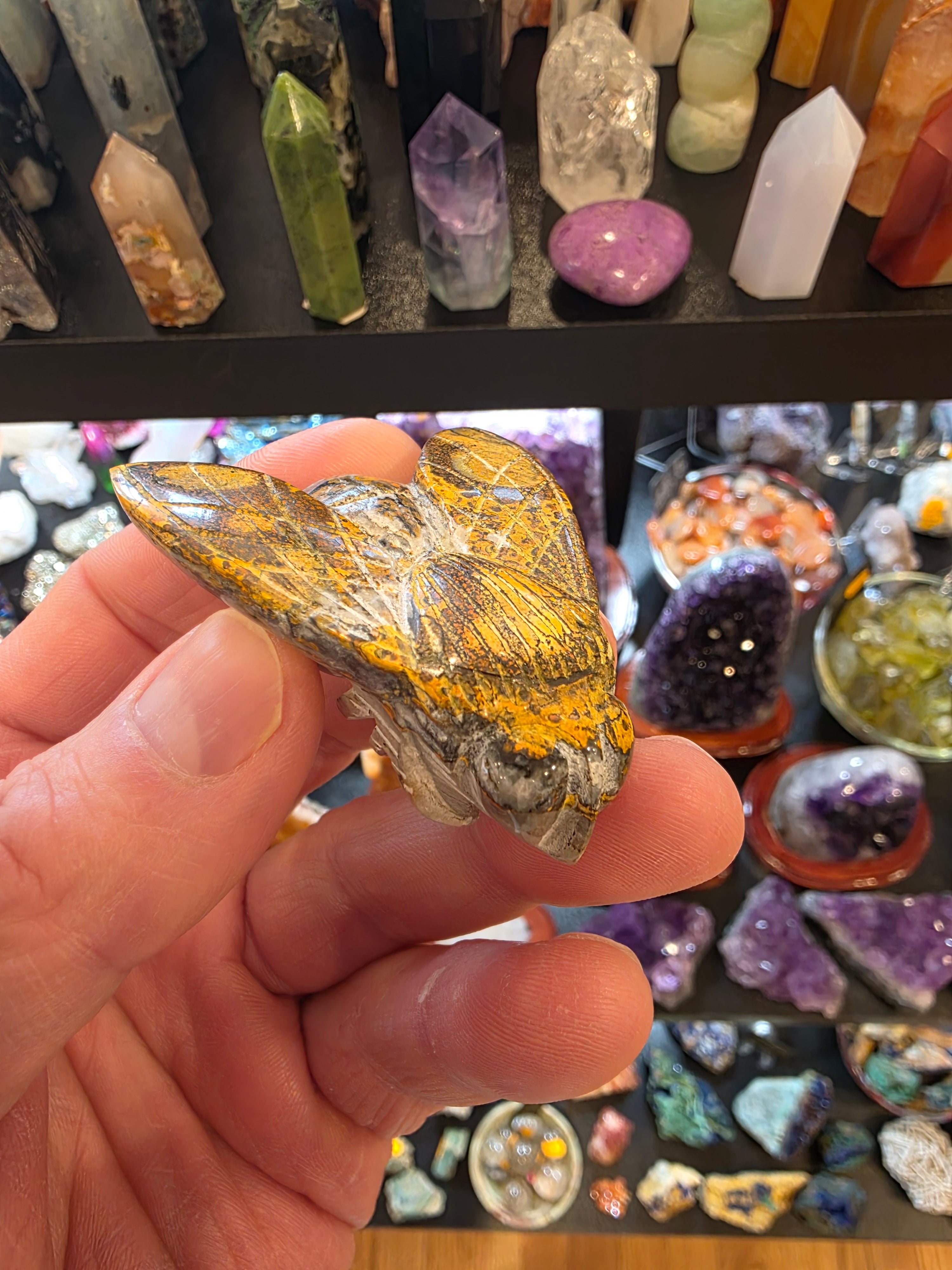 Bumblebee Jasper Bumblebee