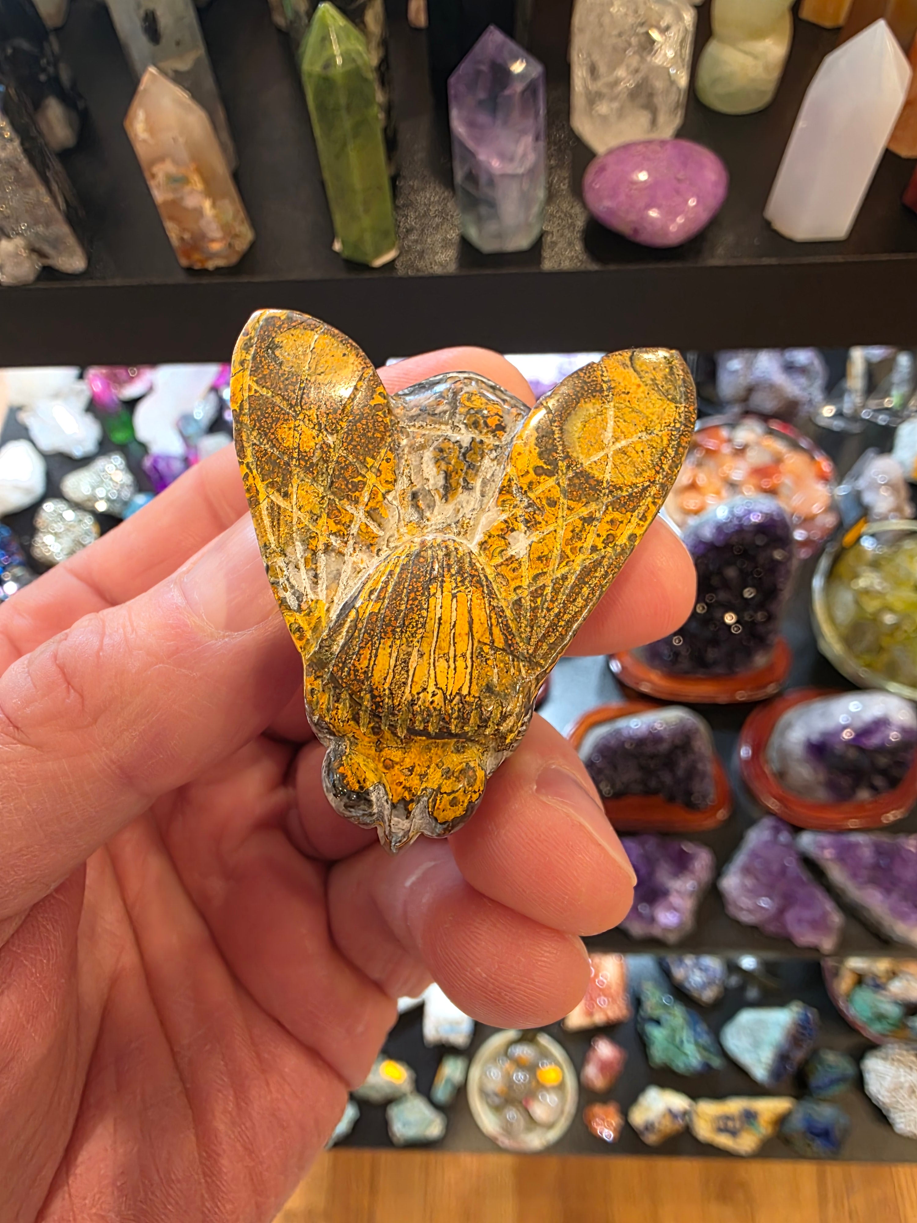 Bumblebee Jasper Bumblebee