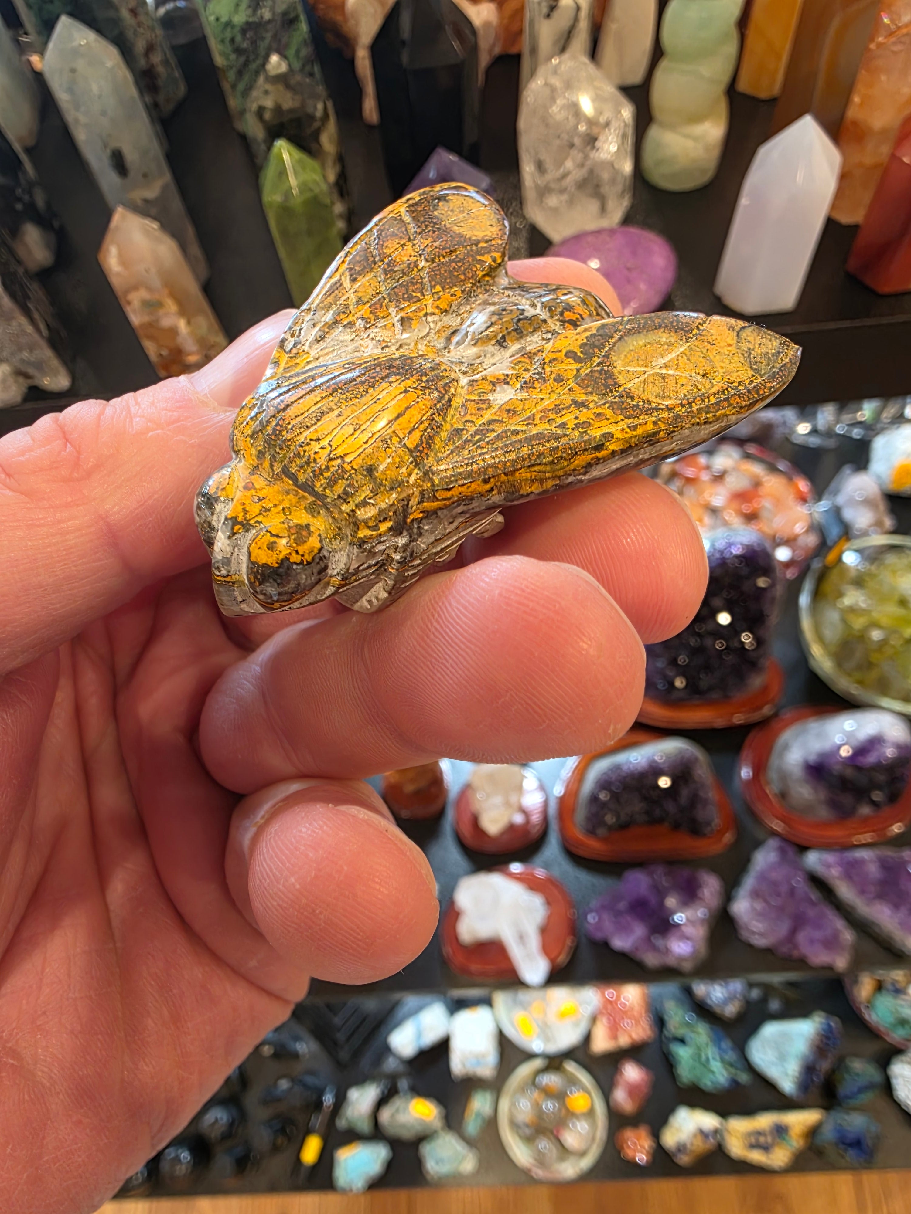 Bumblebee Jasper Bumblebee