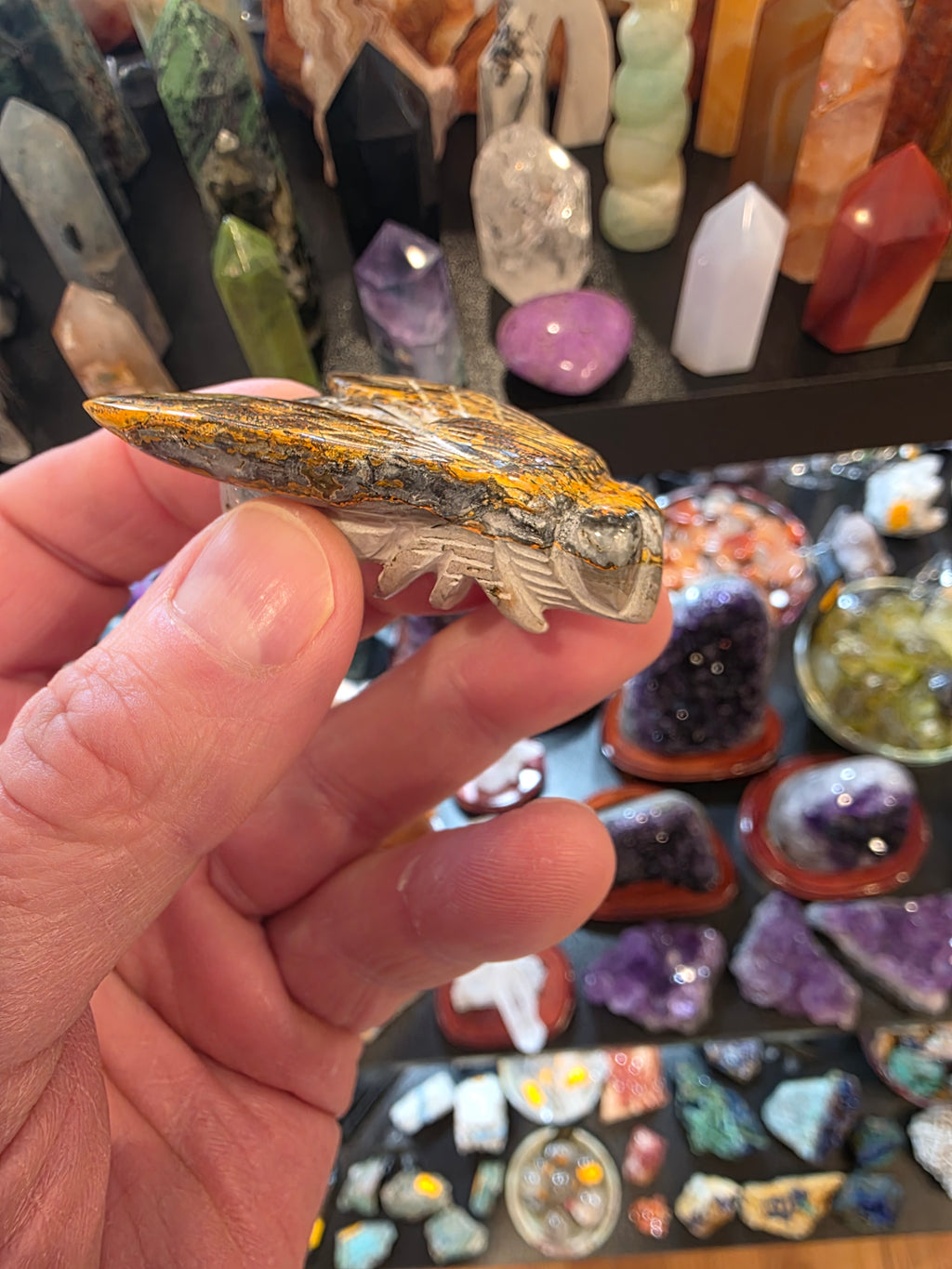 Bumblebee Jasper Bumblebee
