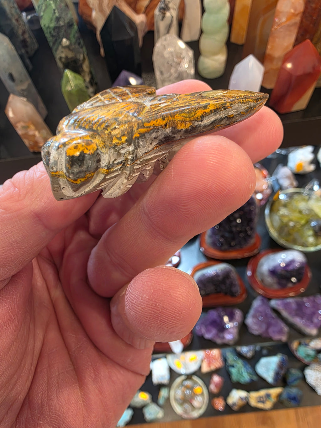 Bumblebee Jasper Bumblebee