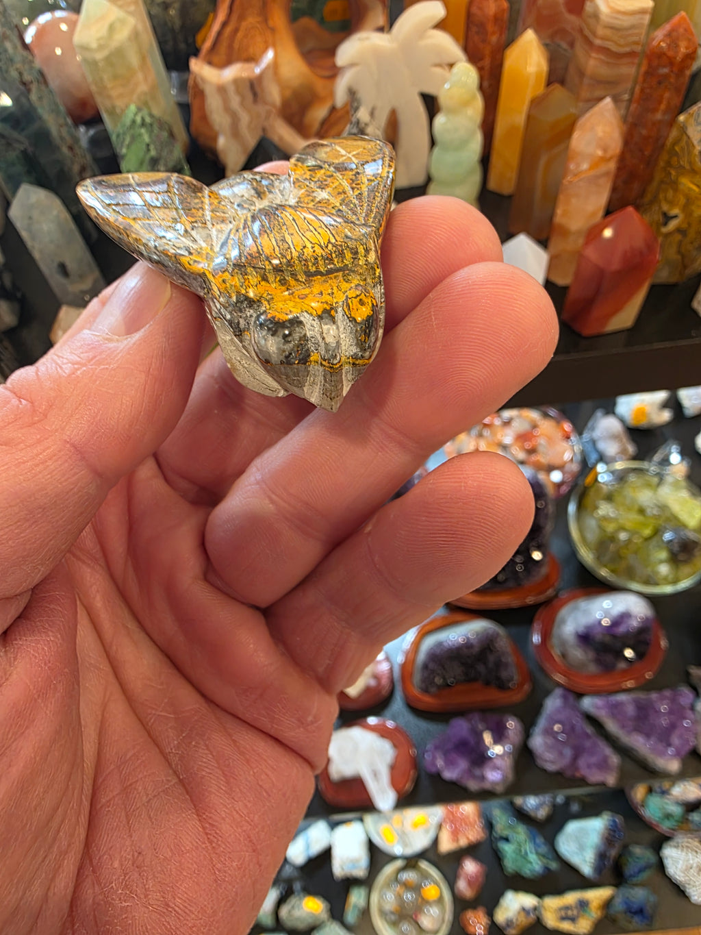 Bumblebee Jasper Bumblebee