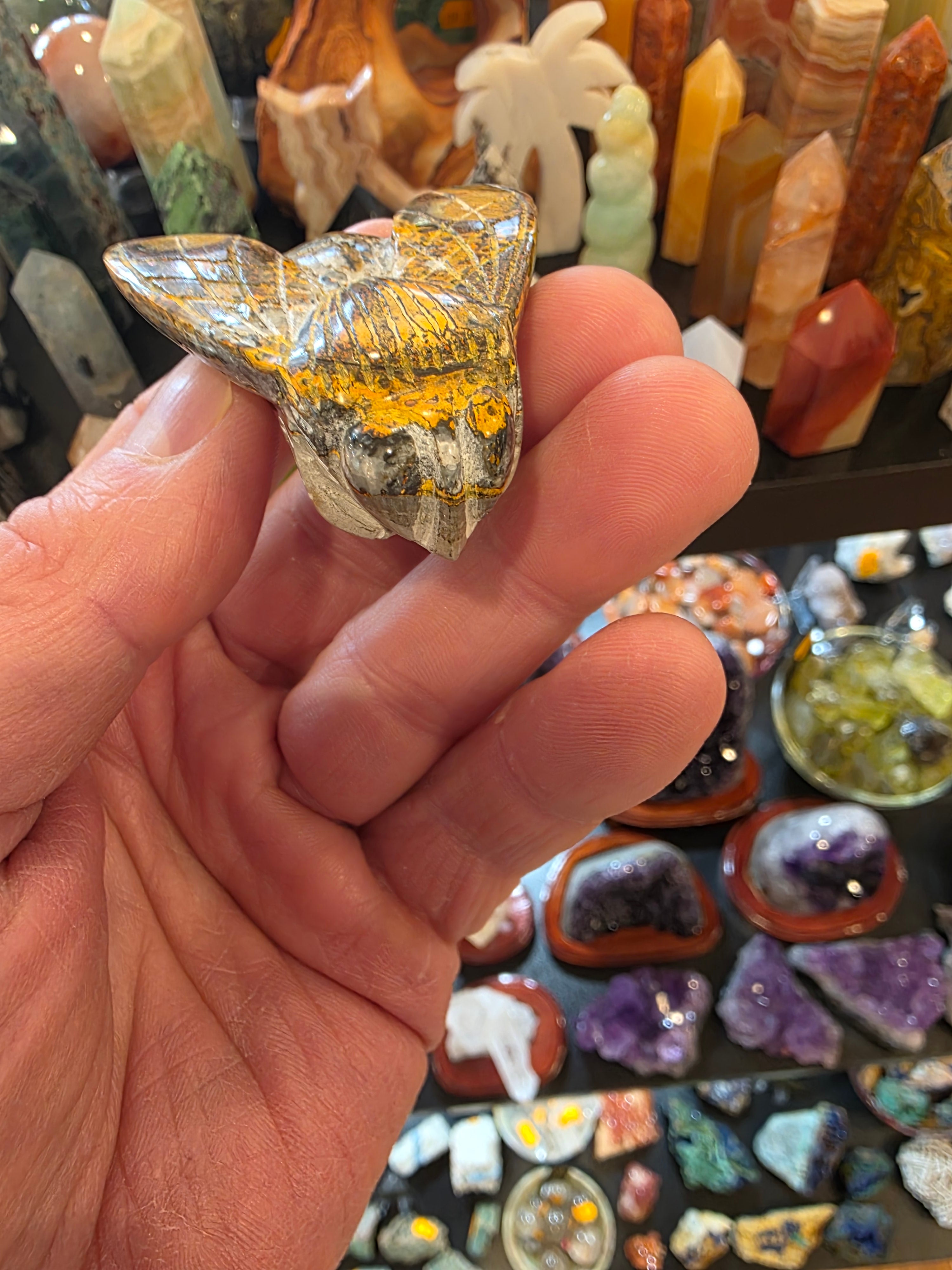 Bumblebee Jasper Bumblebee