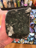 Black Chalcedony Free Form