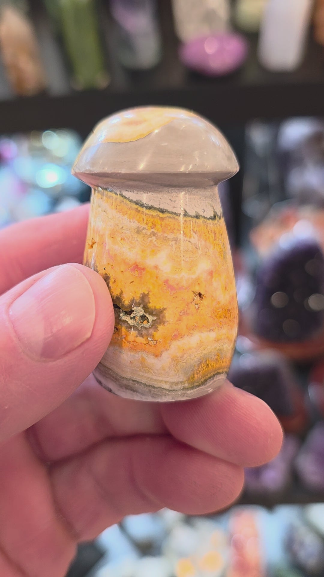 Bumblebee Jasper Mushroom
