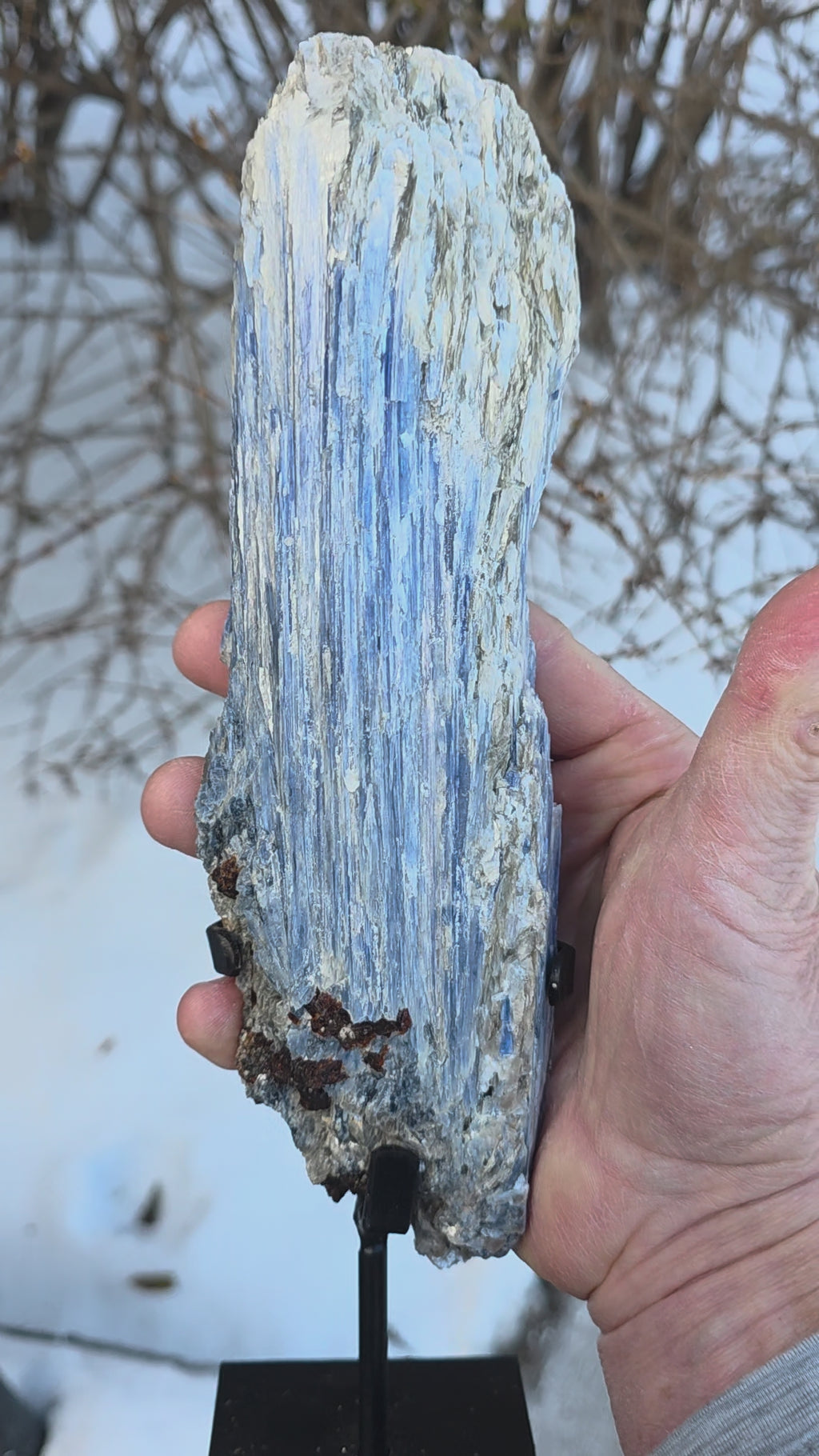 Kyanite with Garnet & Mica in Crafted Metal Stand