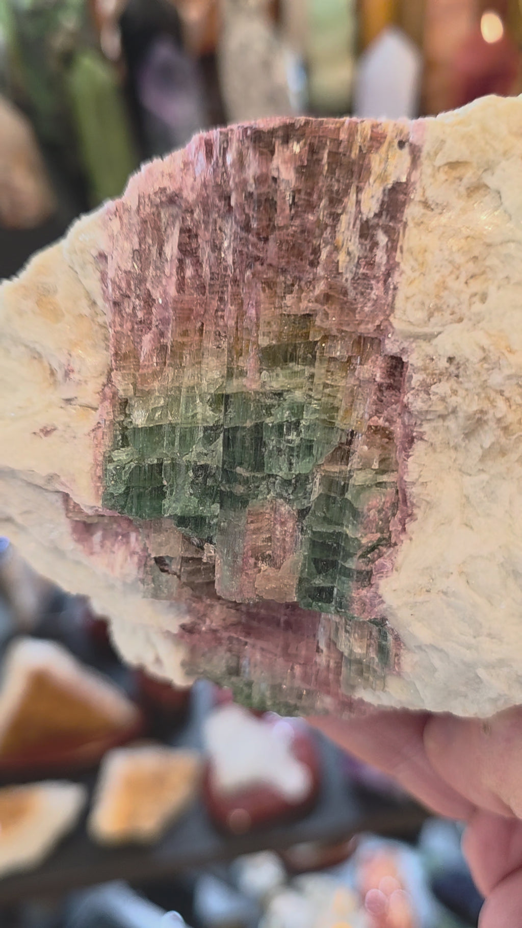 Watermelon Tourmaline in Albite