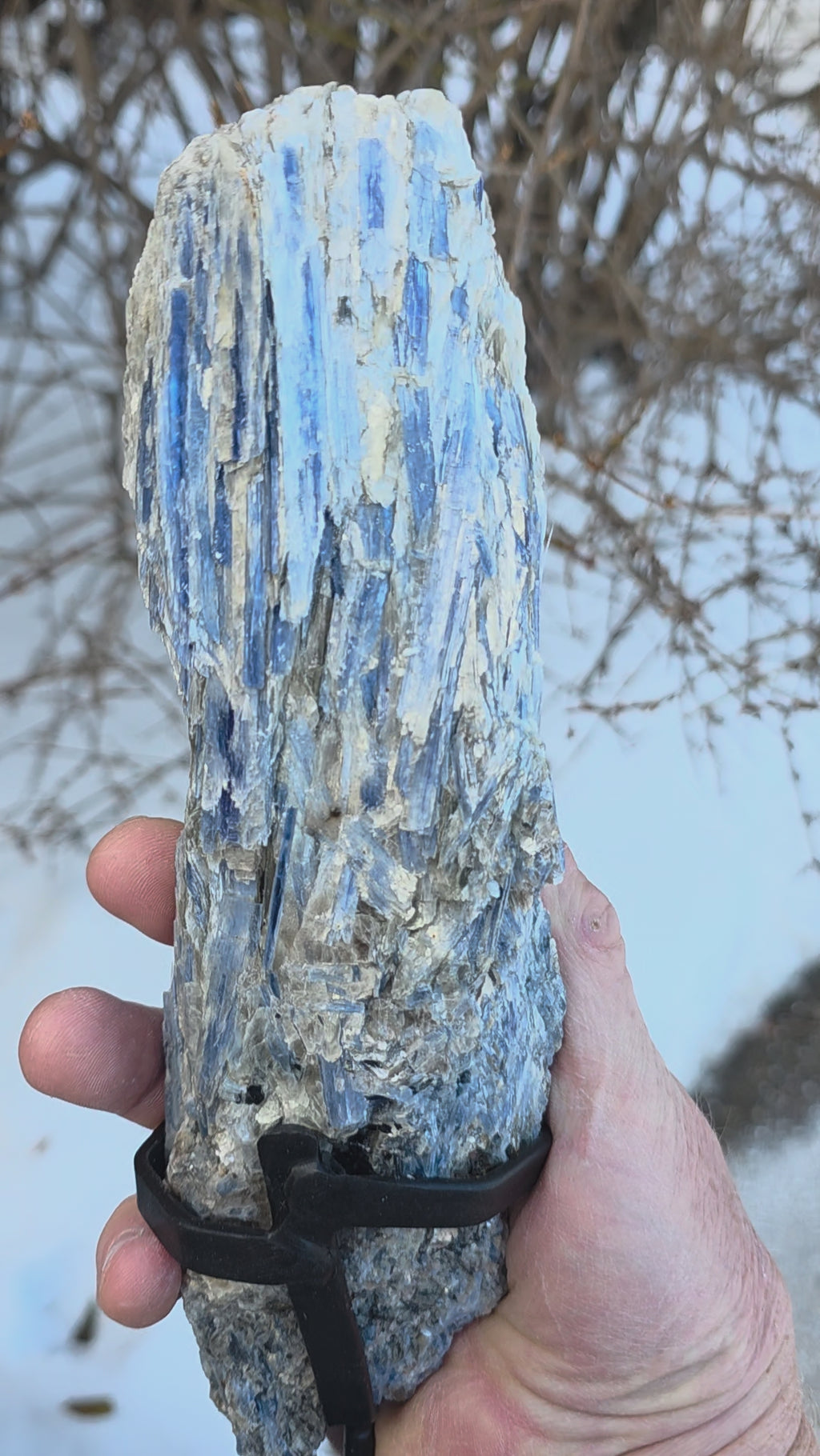 Kyanite with Garnet & Mica in Crafted Metal Stand