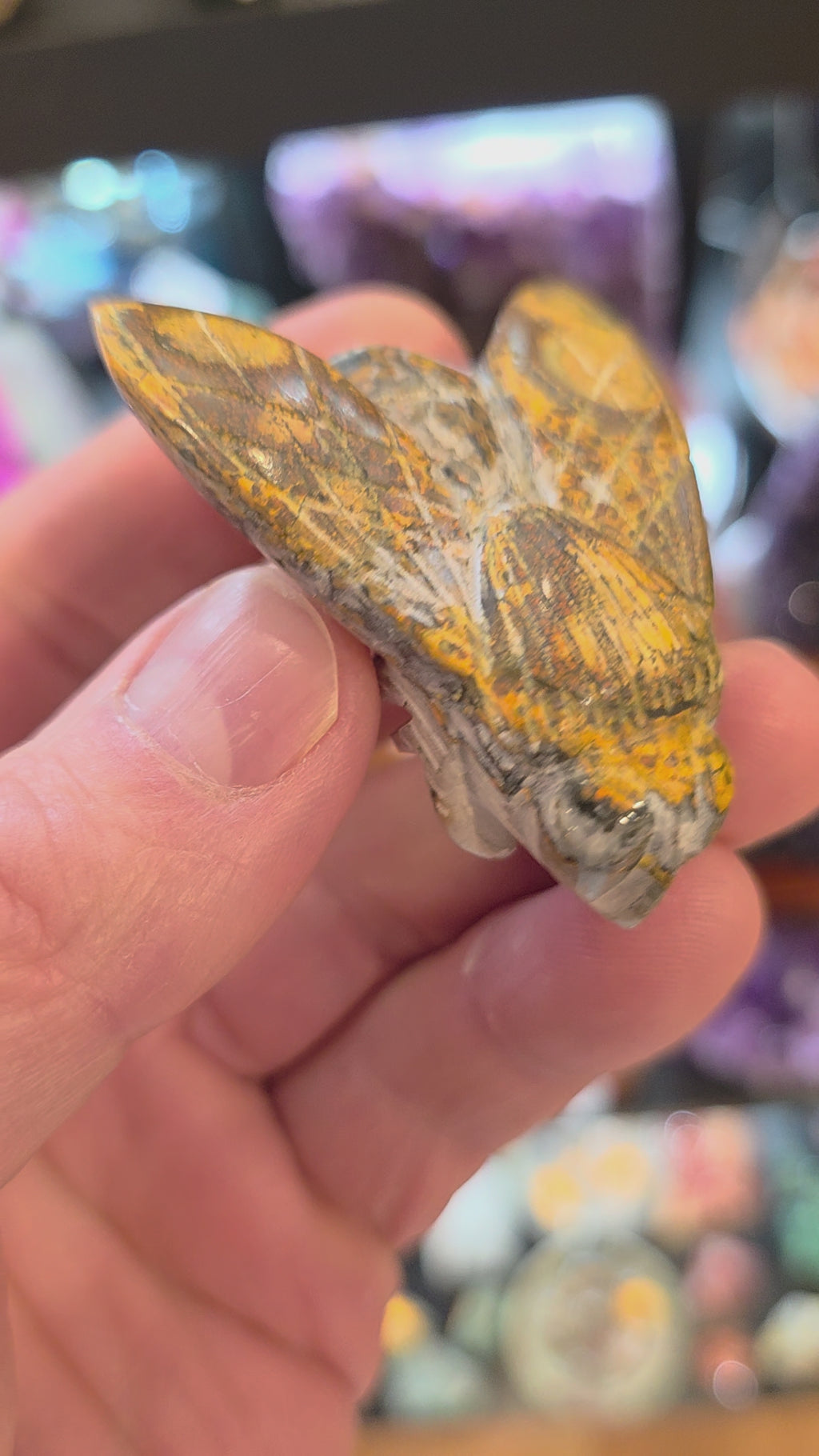 Bumblebee Jasper Bumblebee