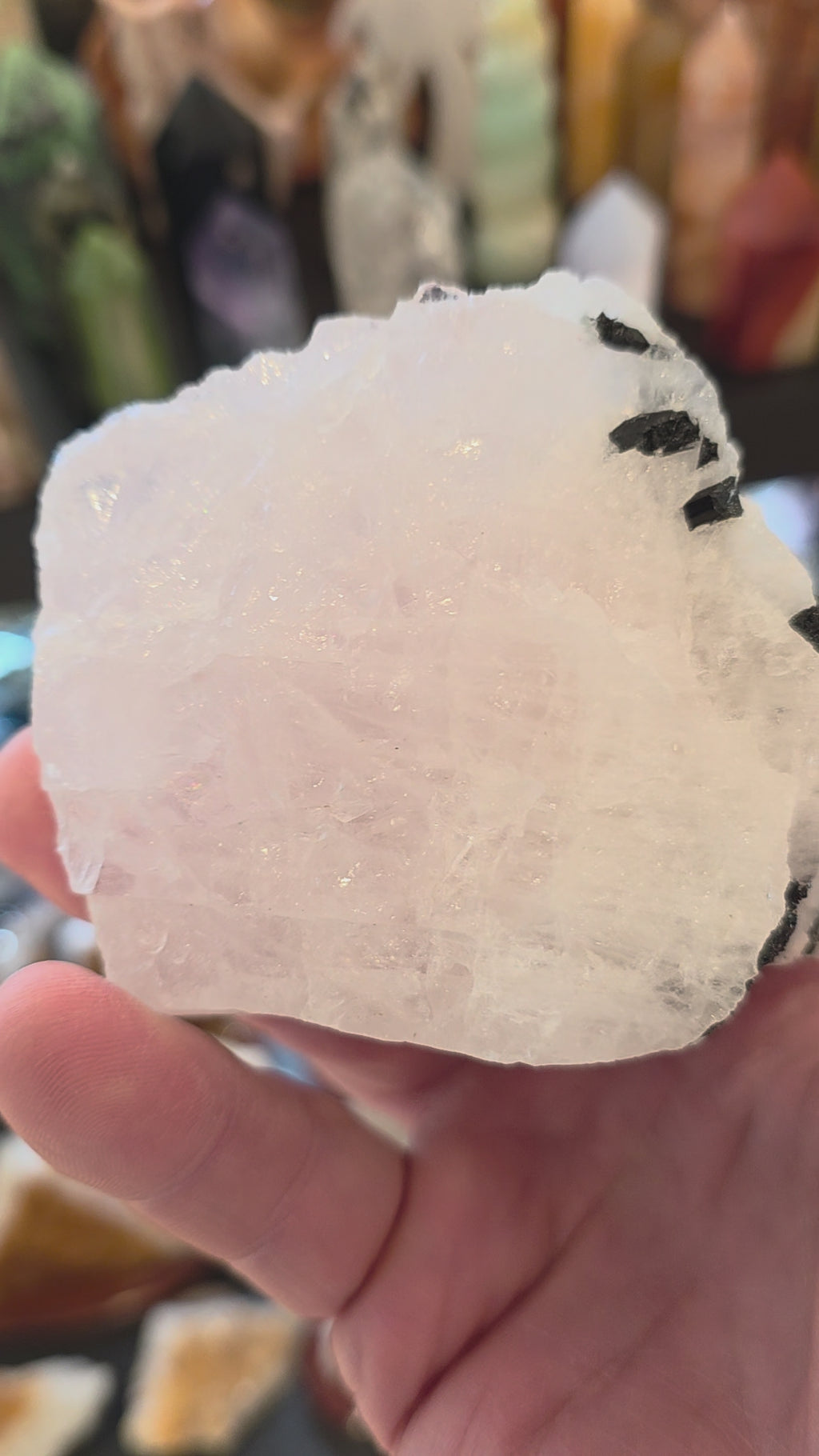 Black Tourmaline in Rose Quartz