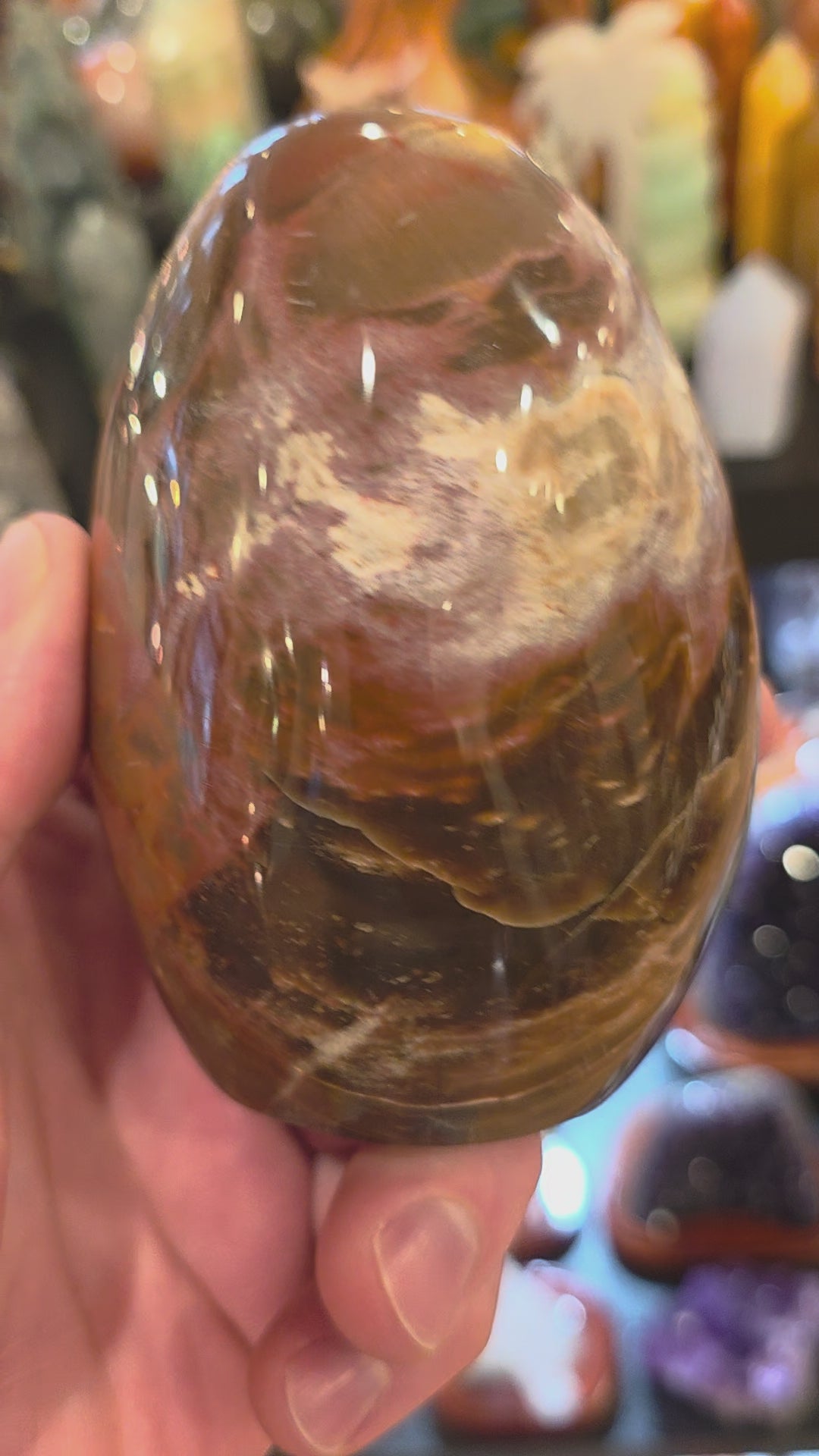 Petrified Wood Free Form
